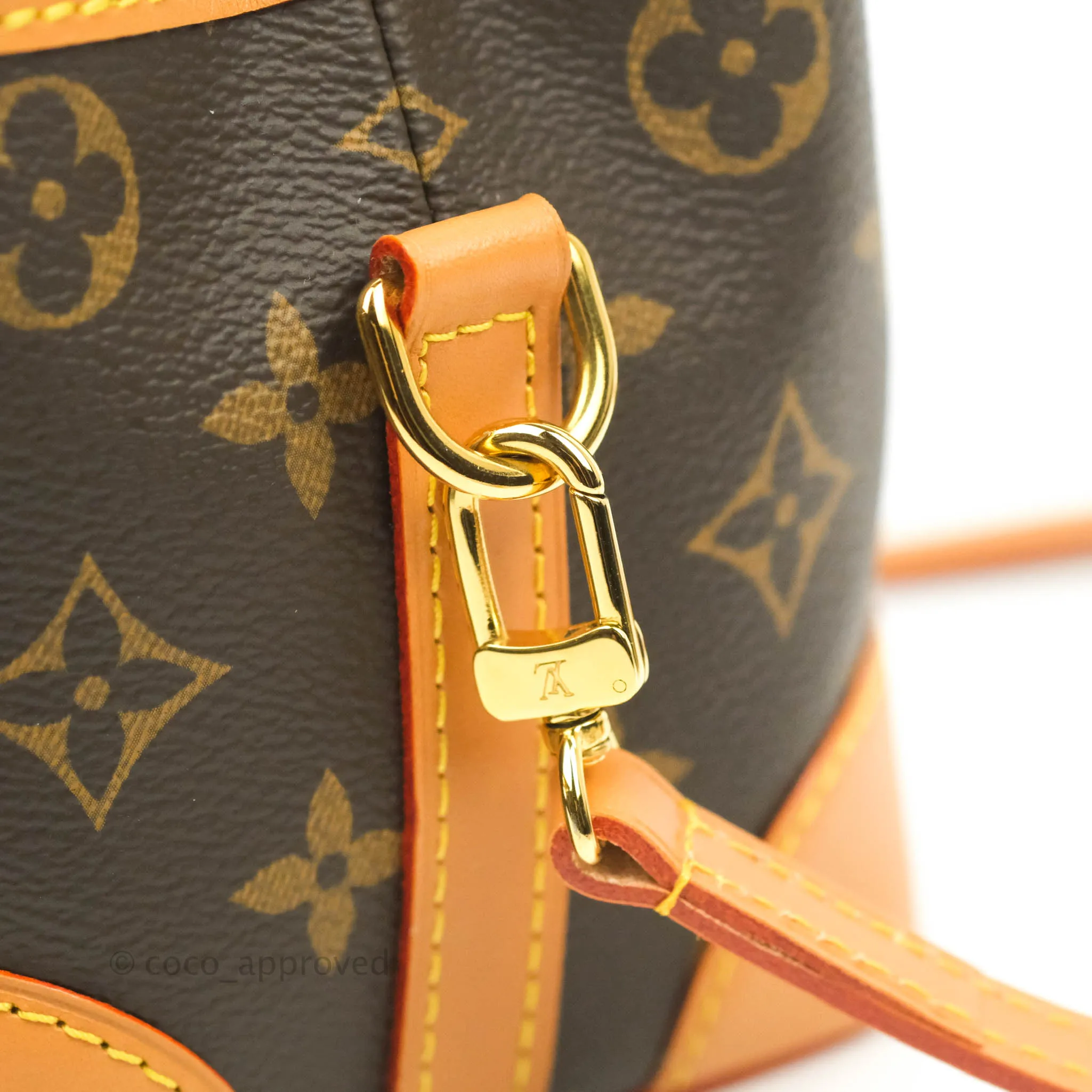 Louis Vuitton Monogram No Purse