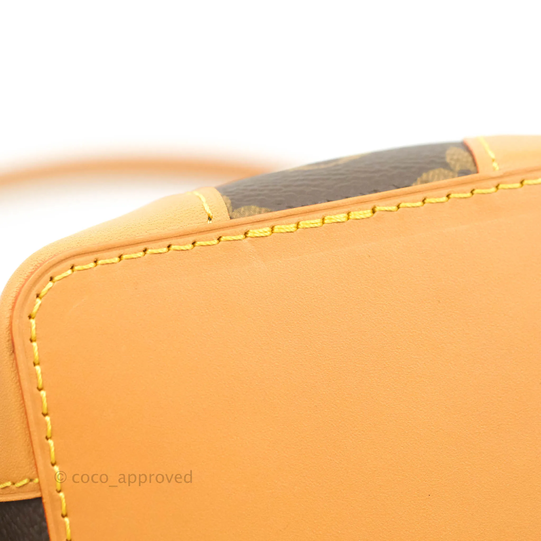 Louis Vuitton Monogram No Purse