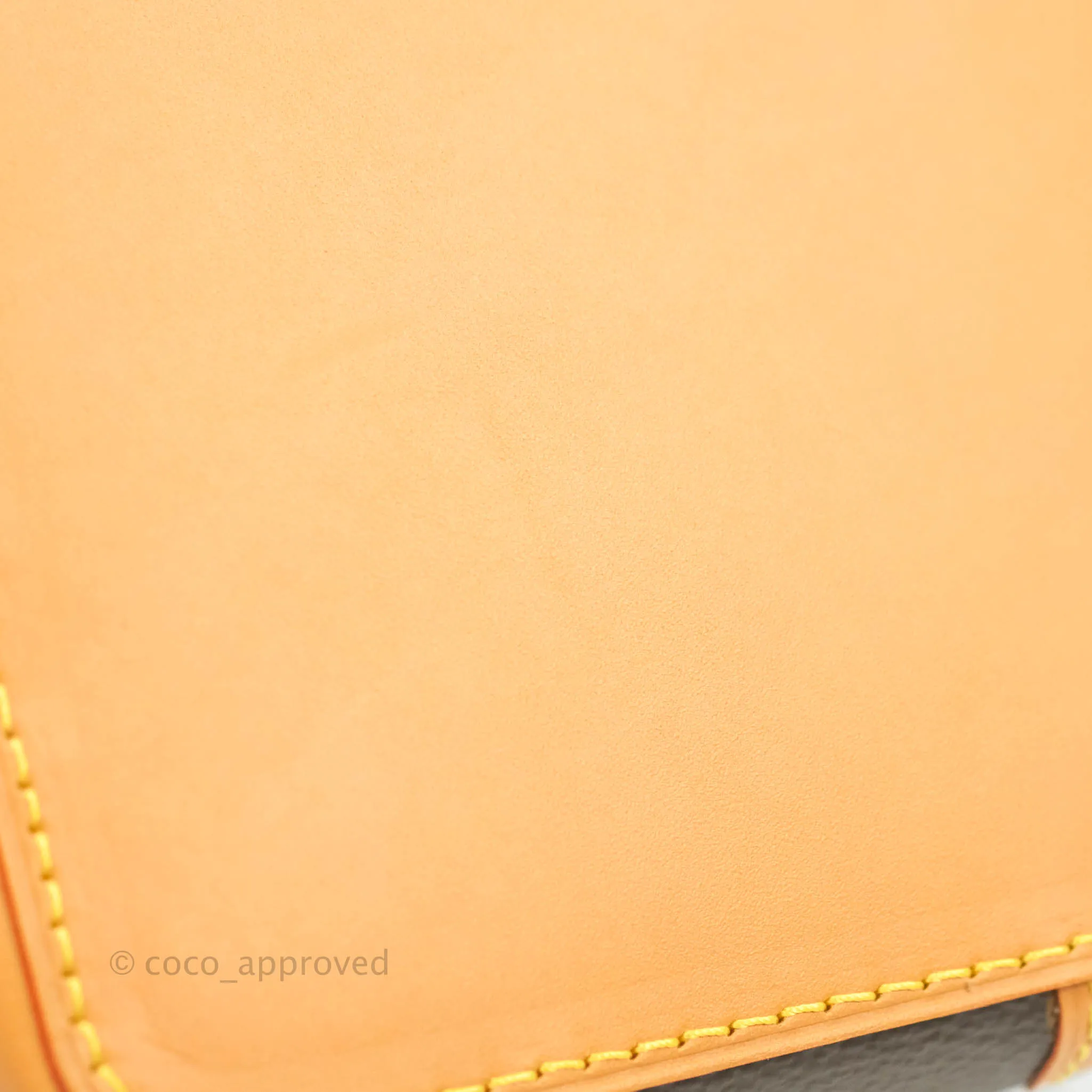 Louis Vuitton Monogram No Purse
