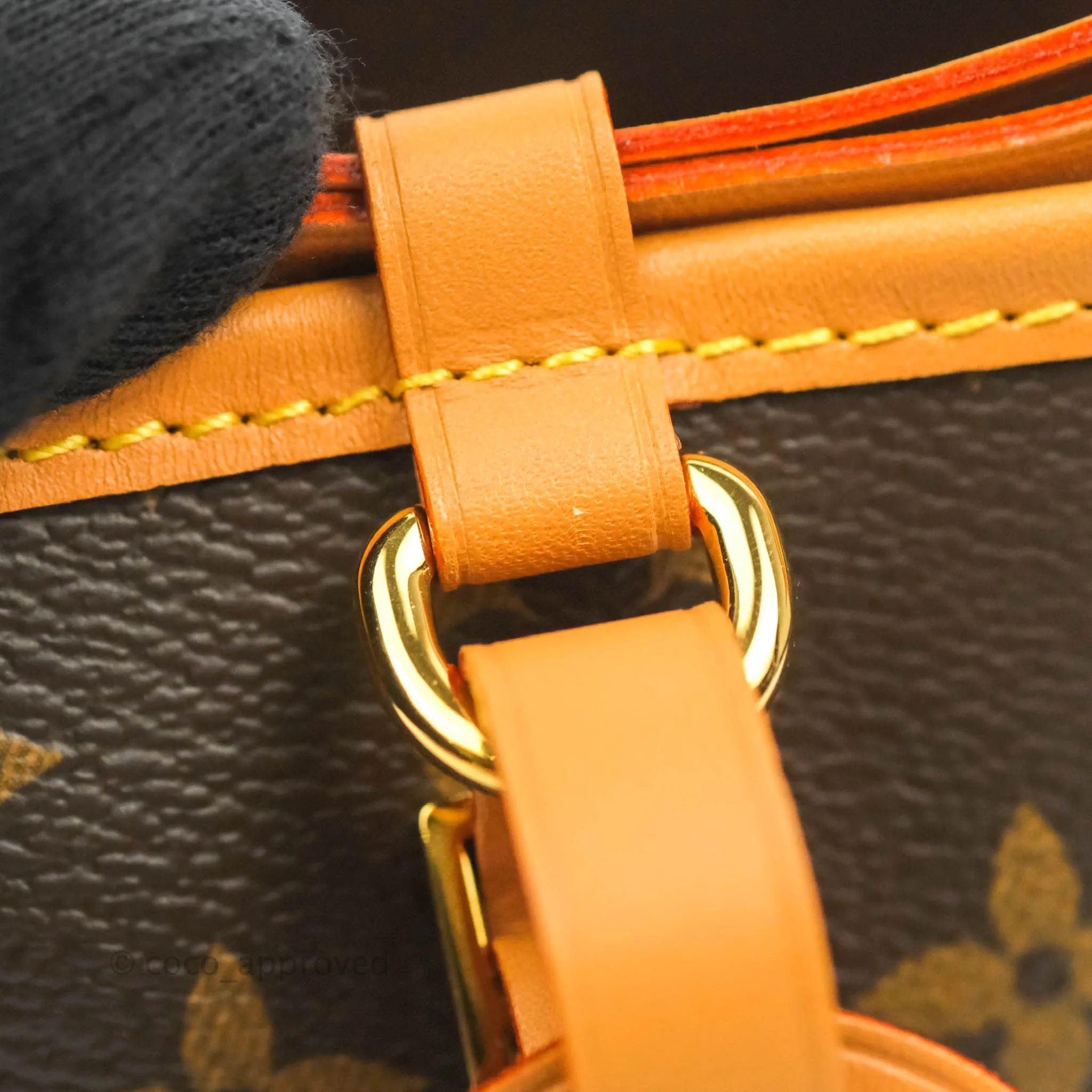 Louis Vuitton Monogram No Purse