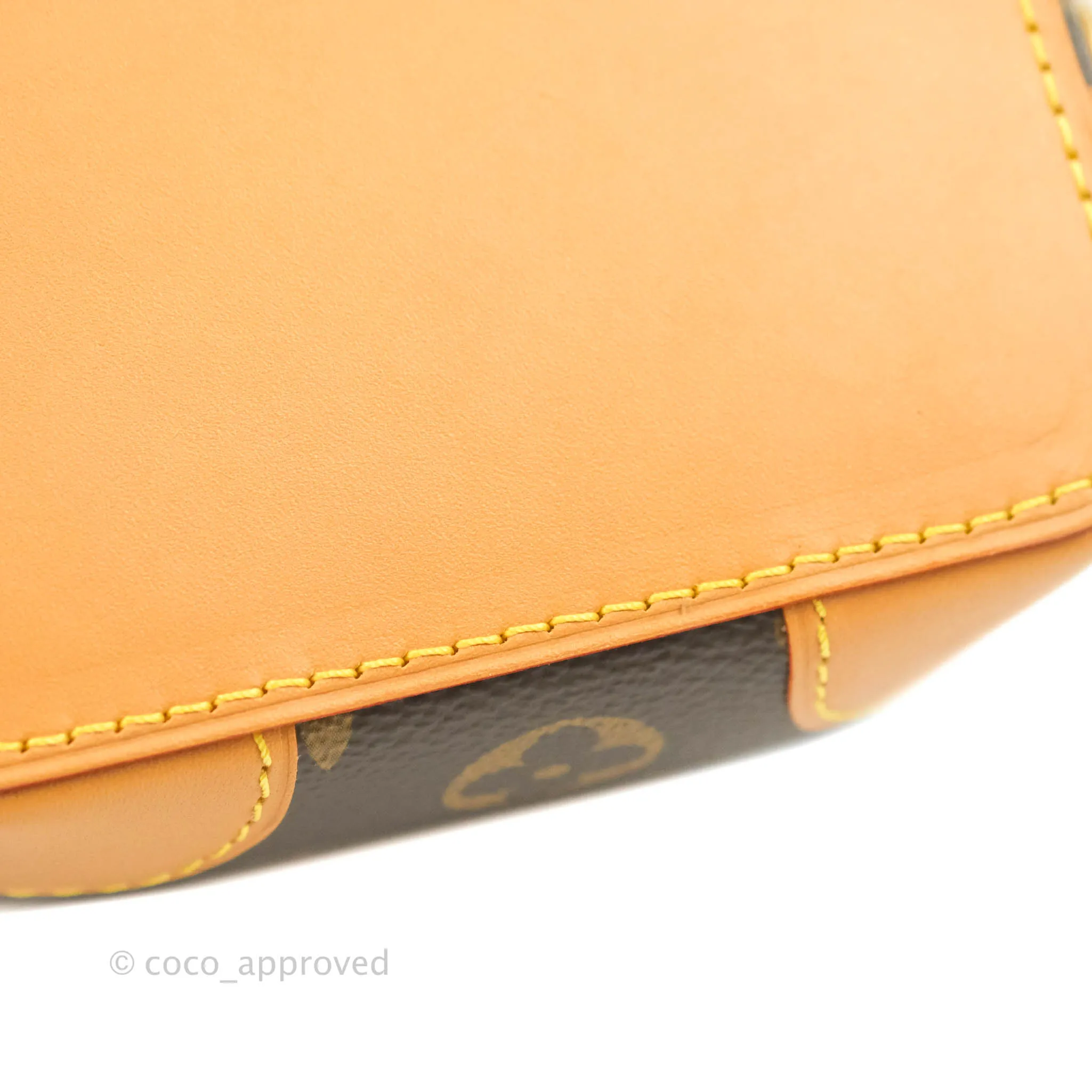 Louis Vuitton Monogram No Purse