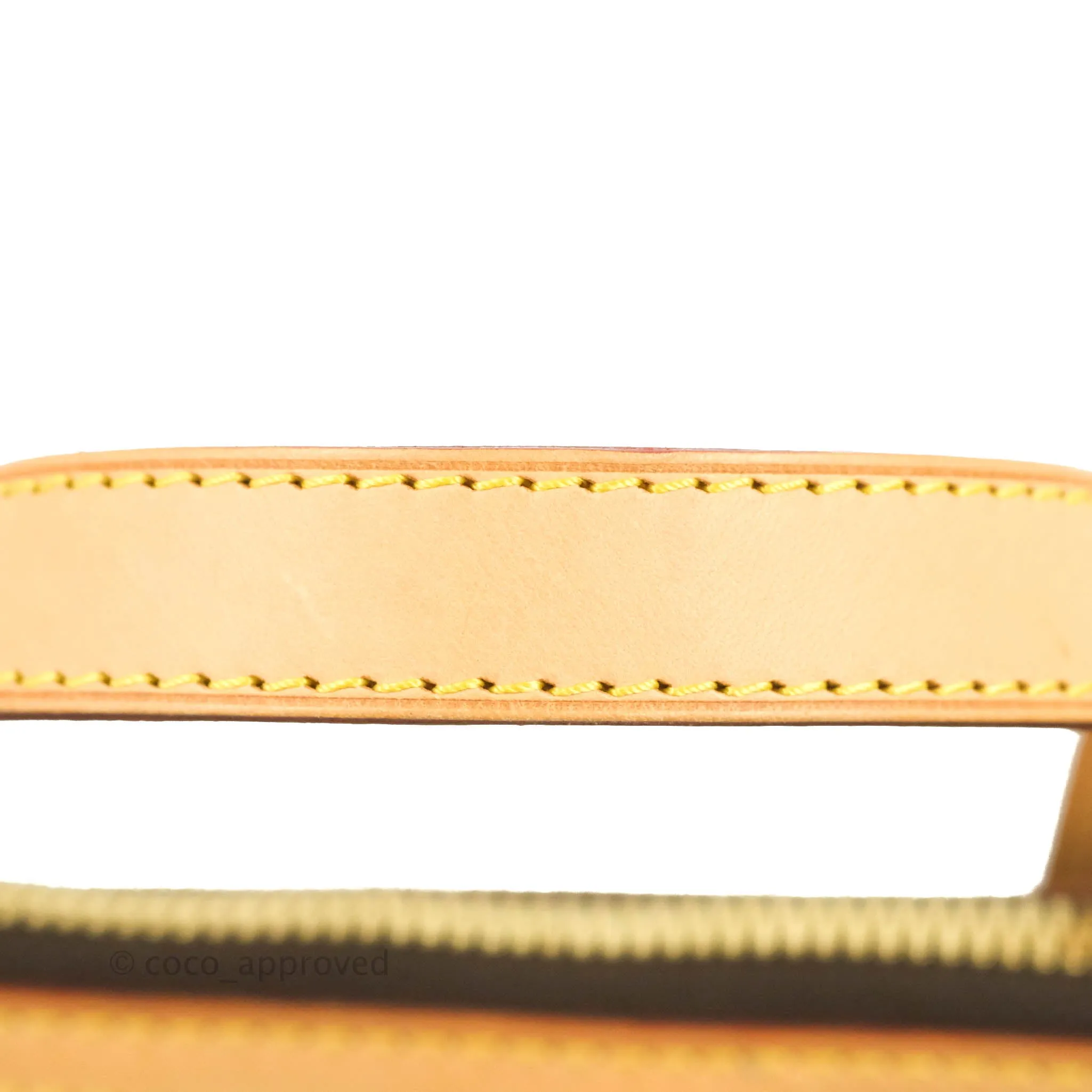 Louis Vuitton Monogram Palermo PM