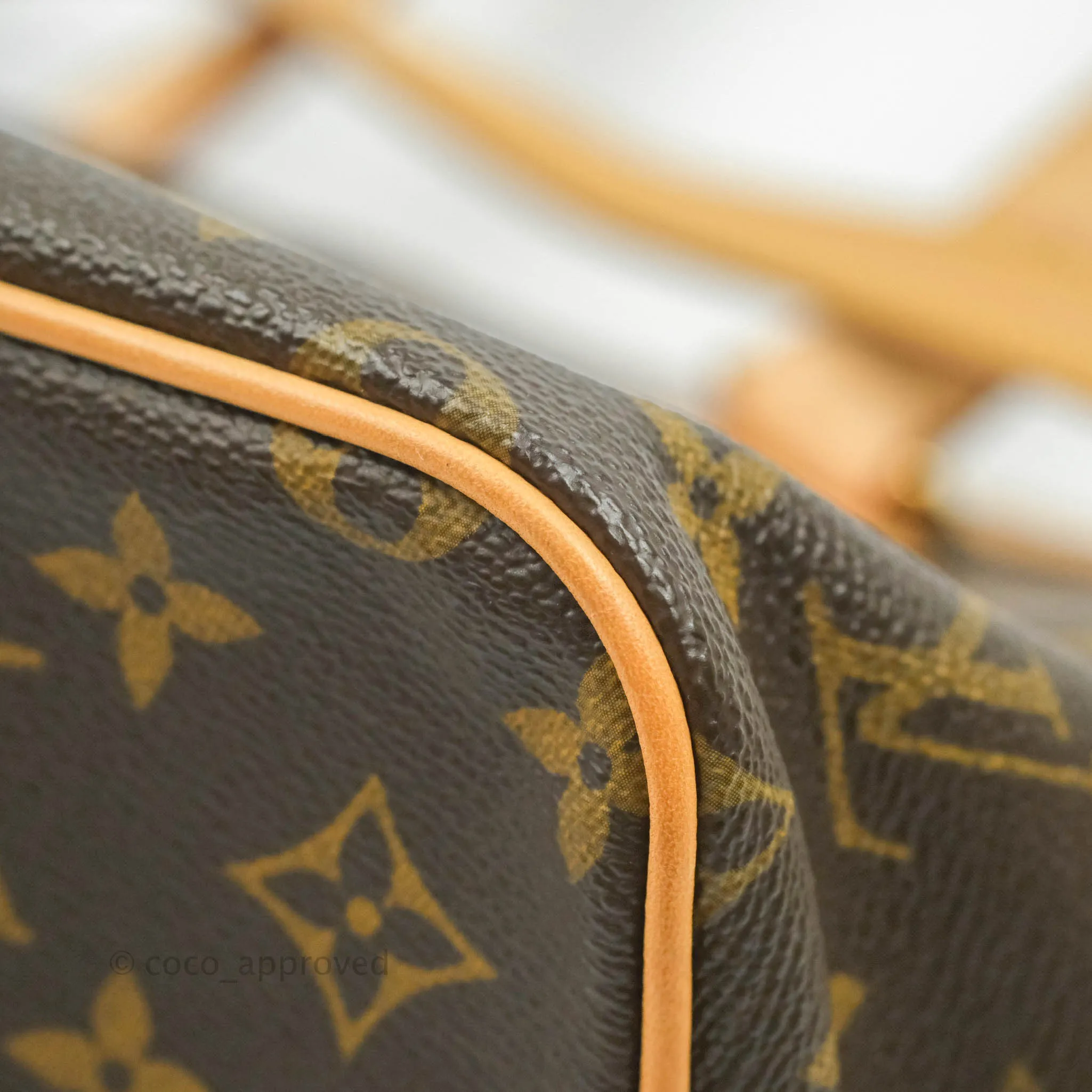 Louis Vuitton Monogram Palermo PM