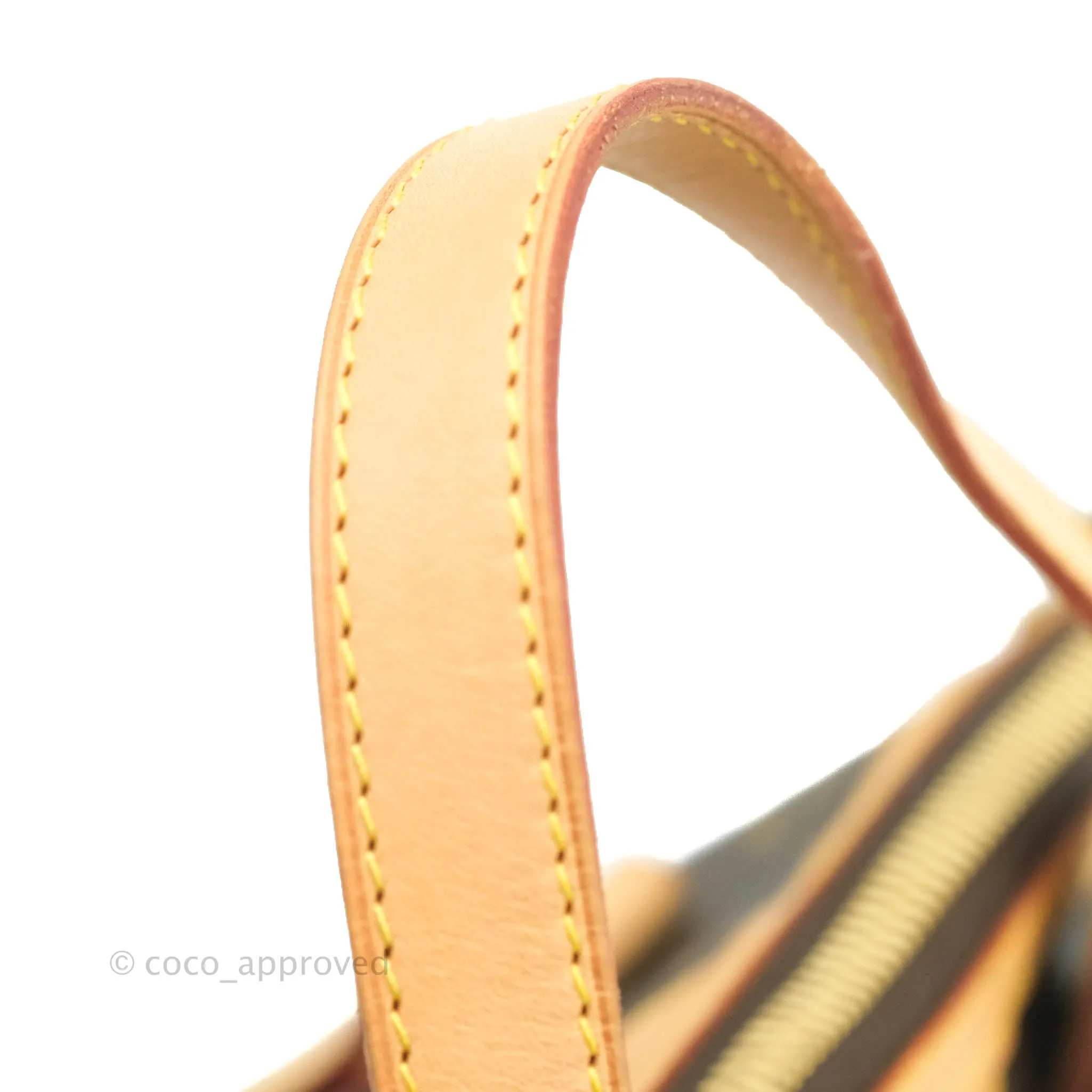Louis Vuitton Monogram Palermo PM