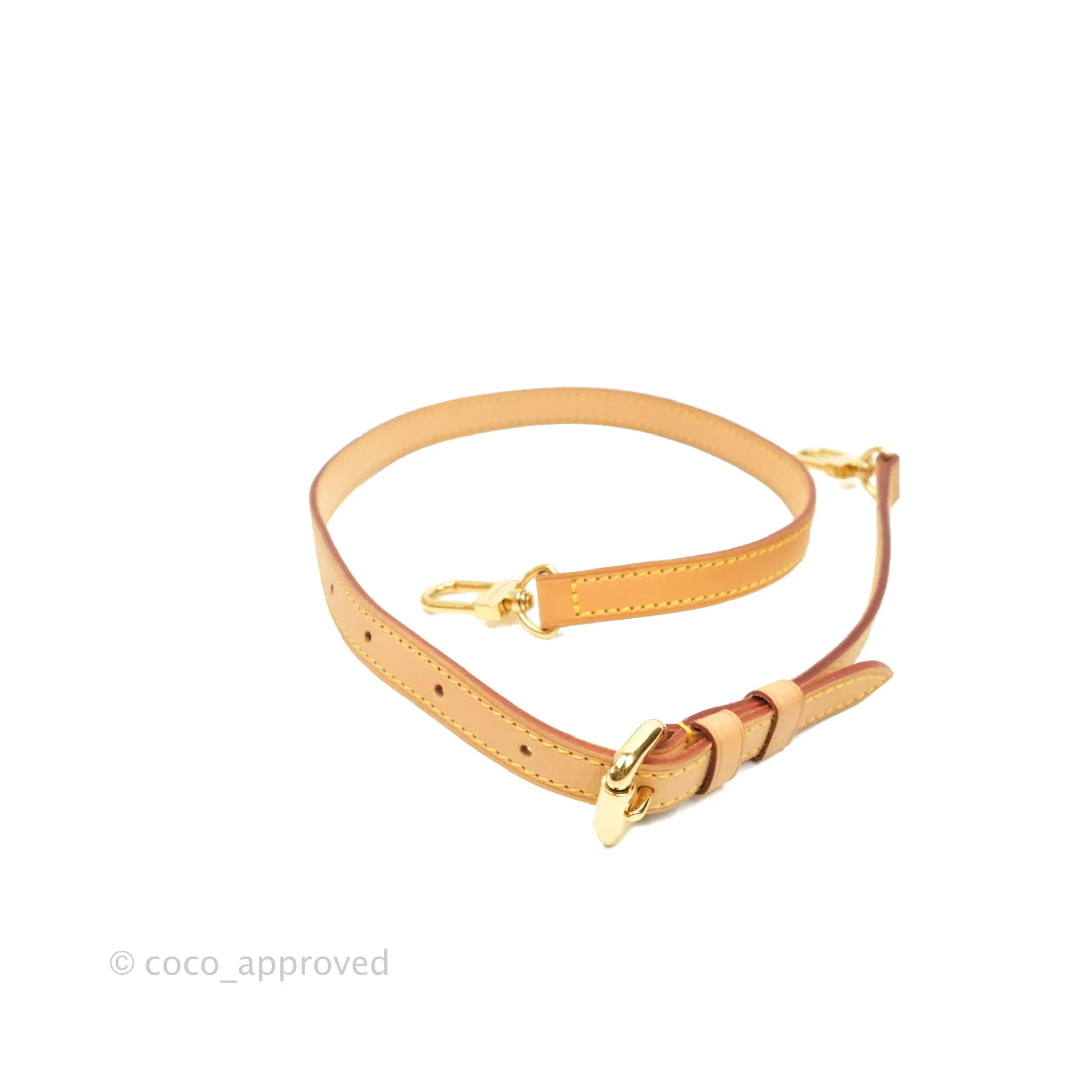 Louis Vuitton Monogram Palermo PM