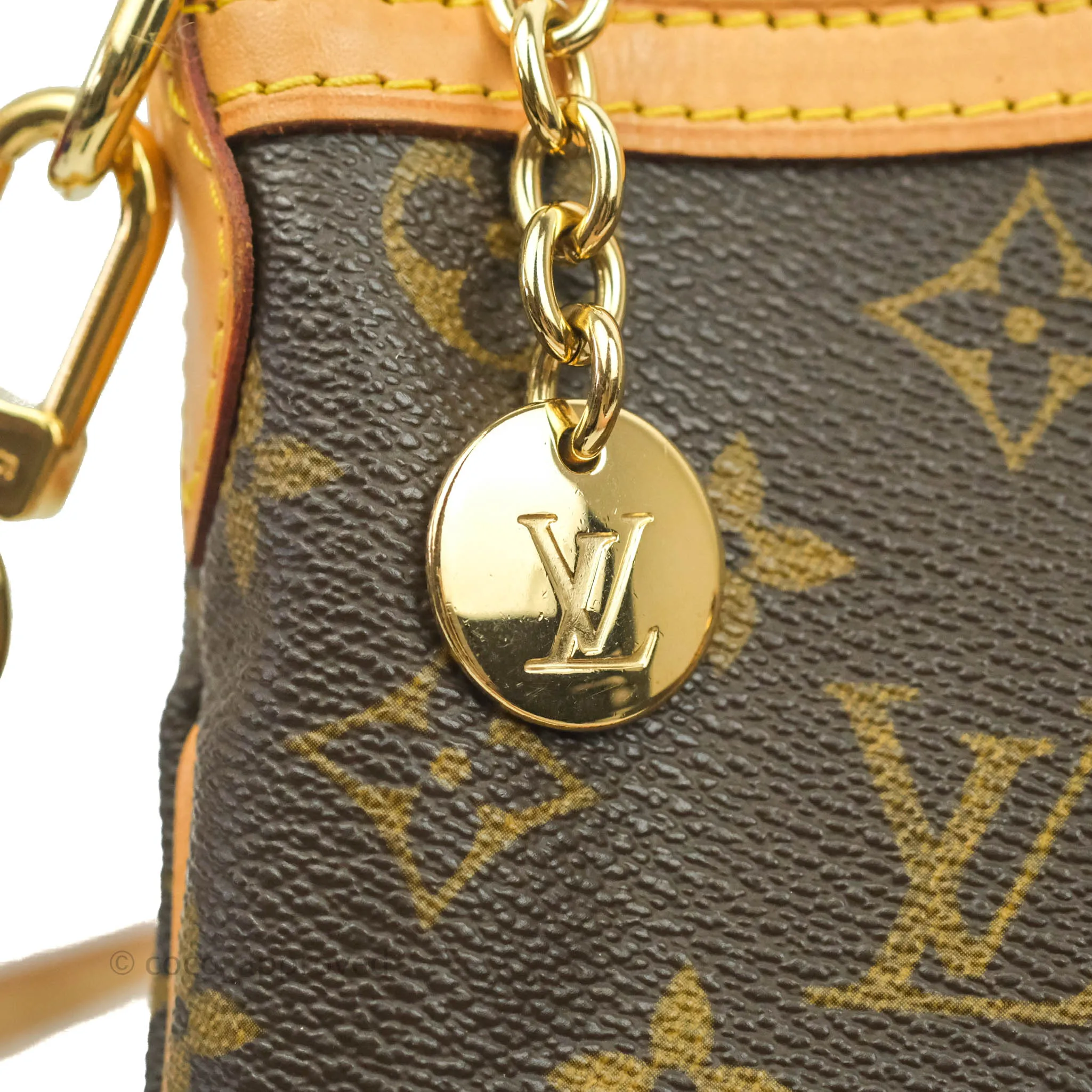 Louis Vuitton Monogram Palermo PM