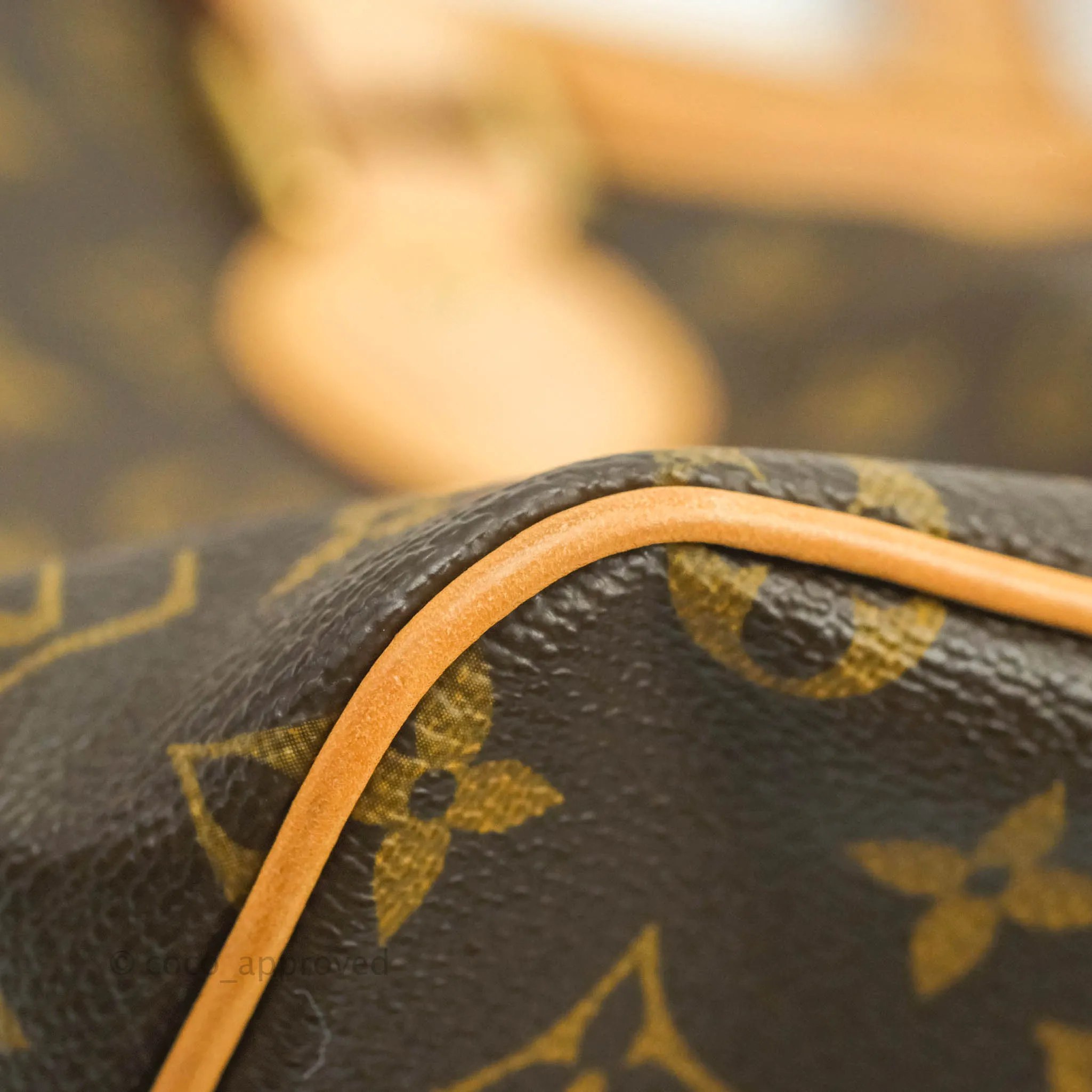 Louis Vuitton Monogram Palermo PM