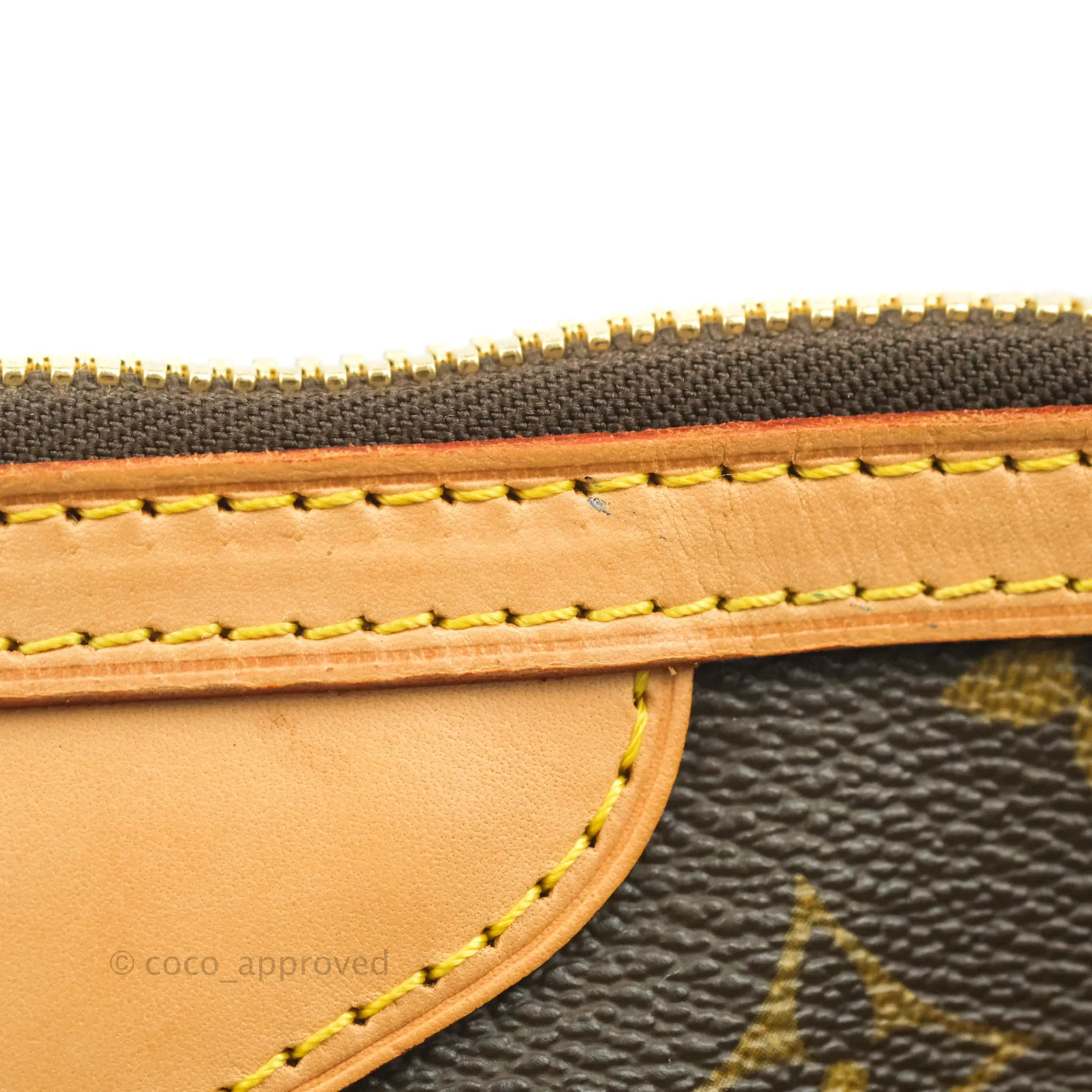 Louis Vuitton Monogram Palermo PM