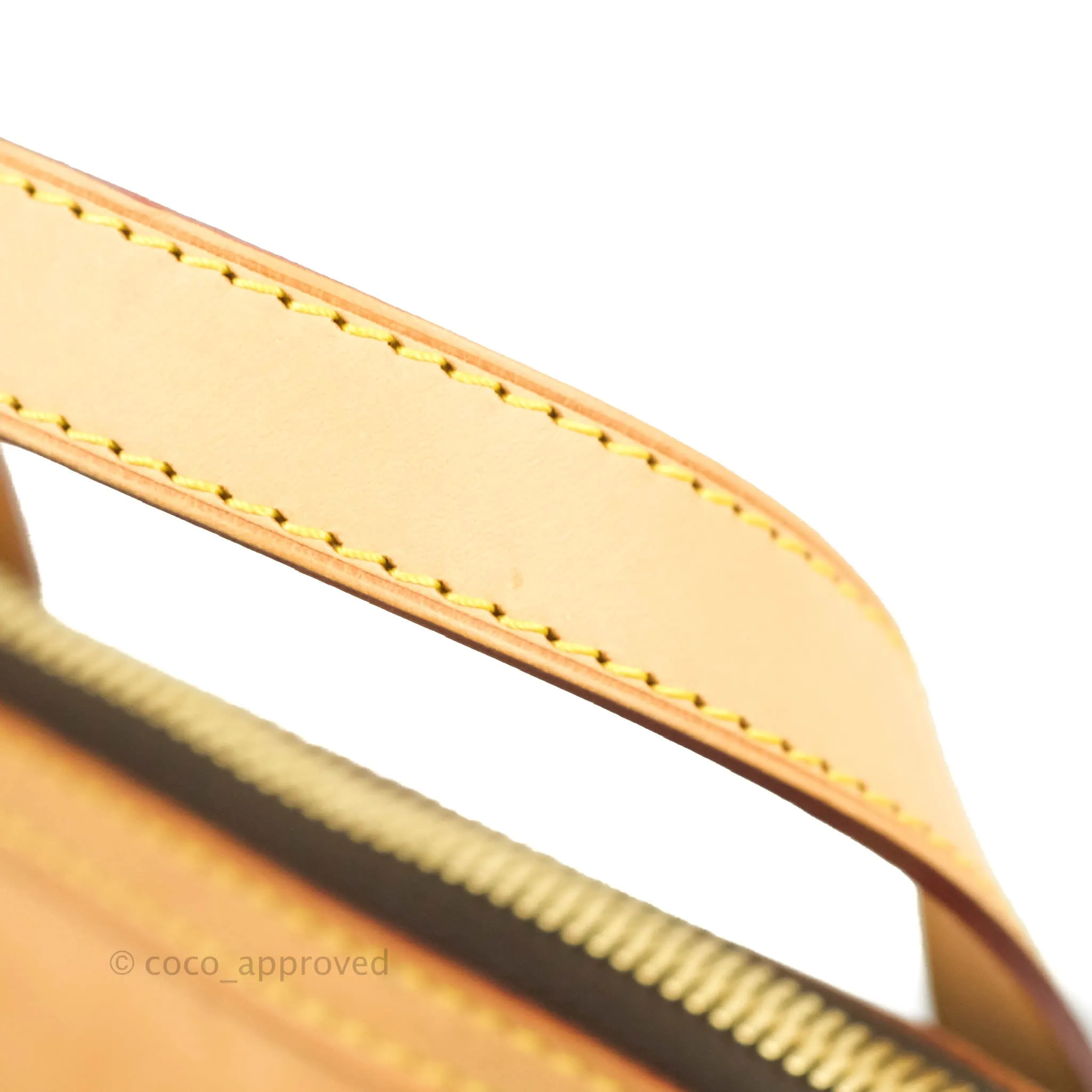 Louis Vuitton Monogram Palermo PM
