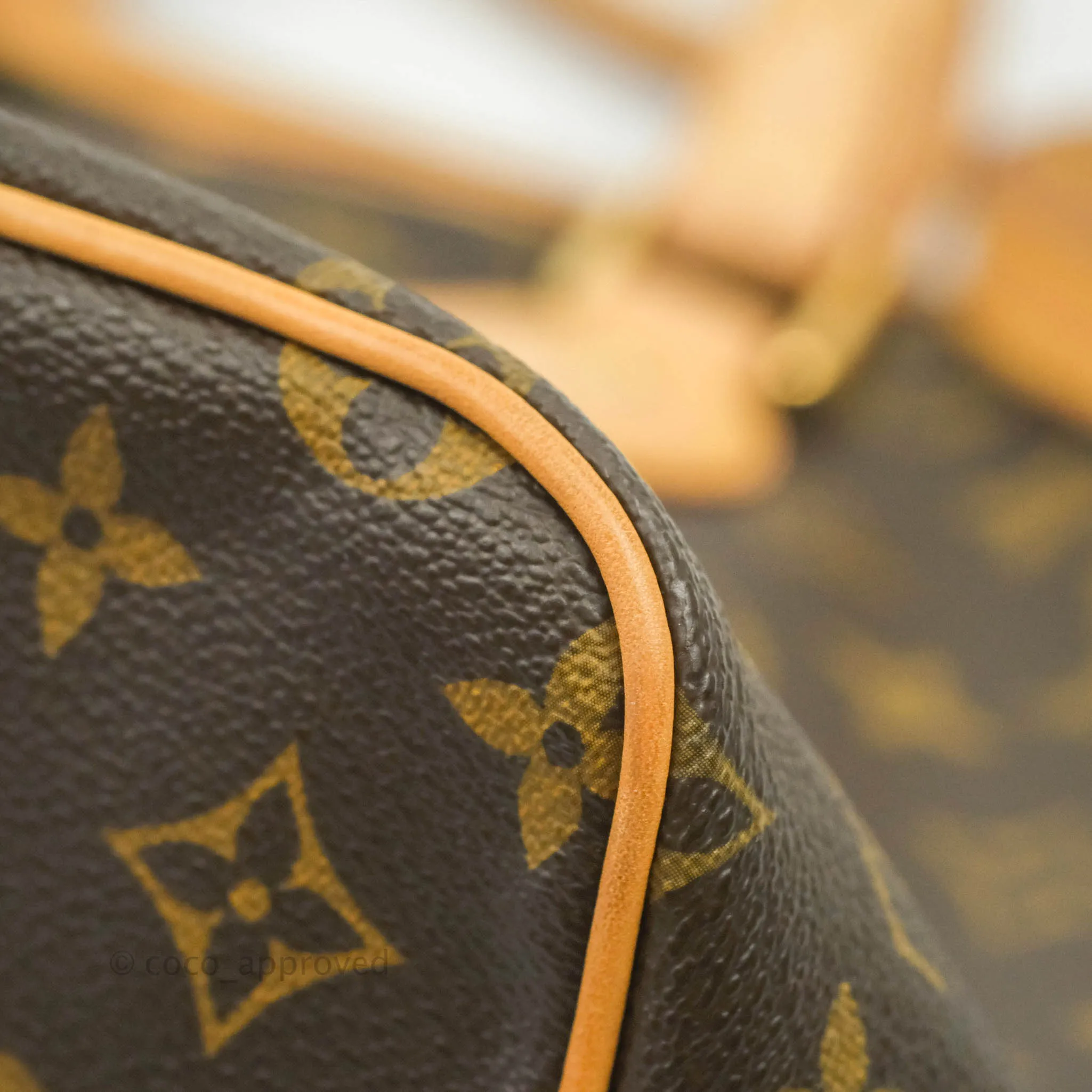 Louis Vuitton Monogram Palermo PM