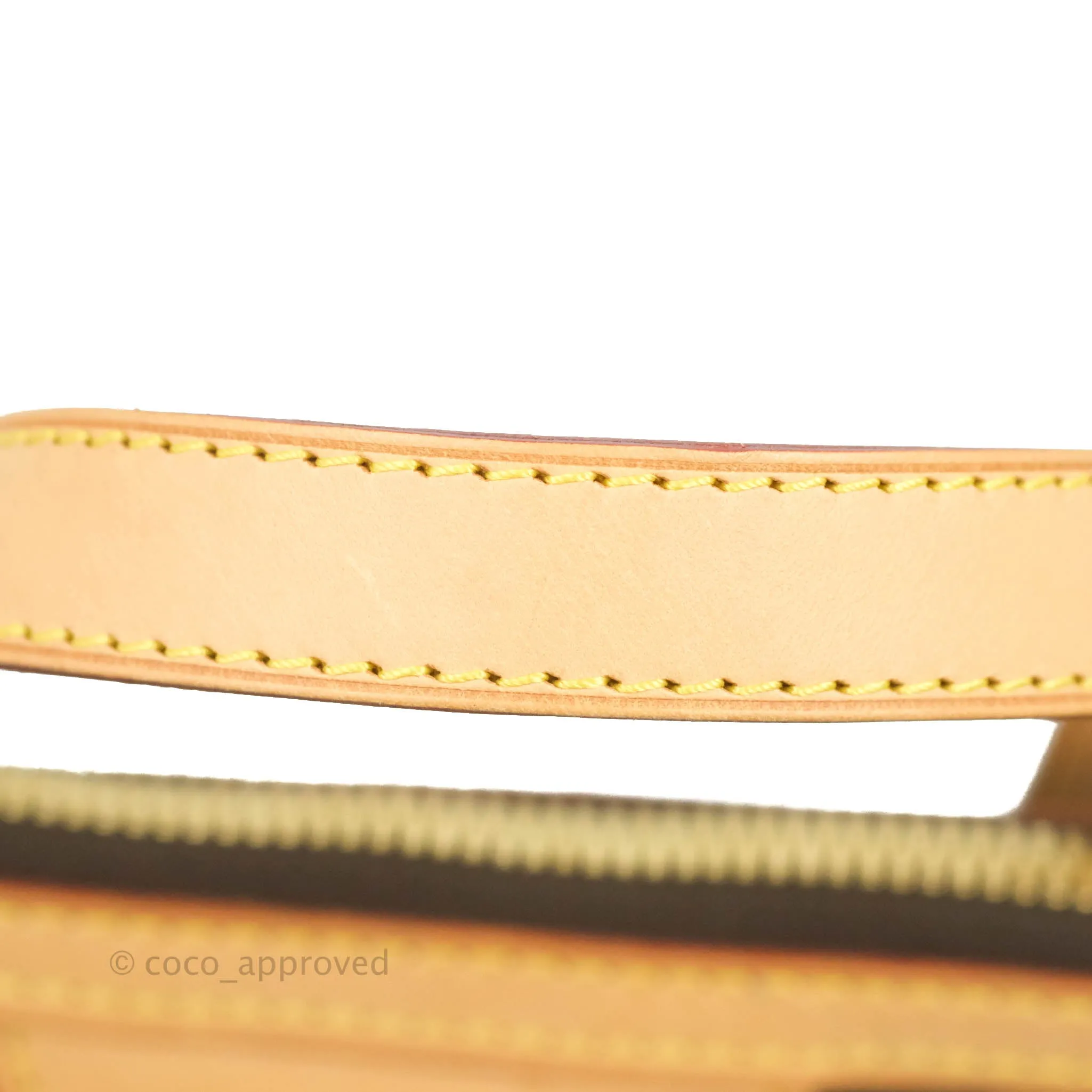 Louis Vuitton Monogram Palermo PM