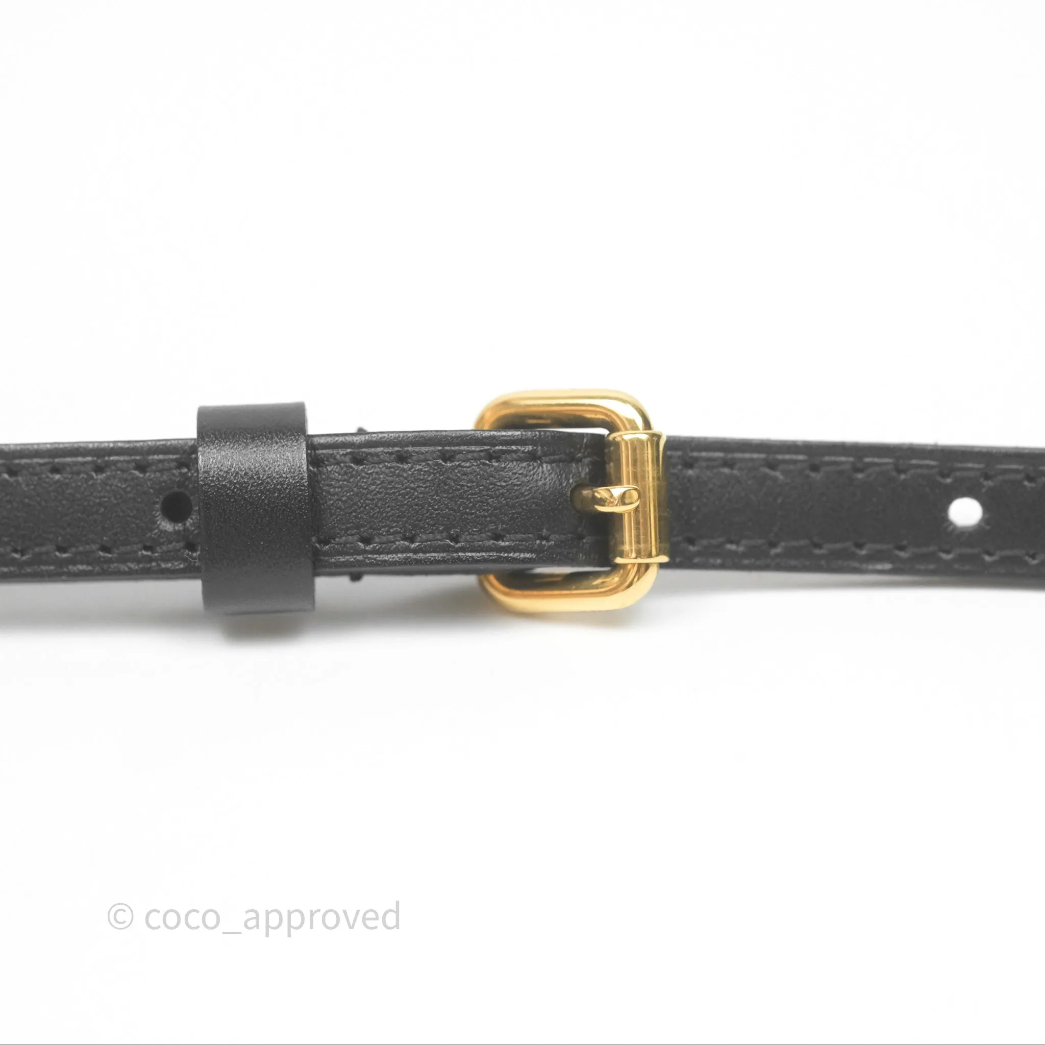 Louis Vuitton Monogram Petite Malle