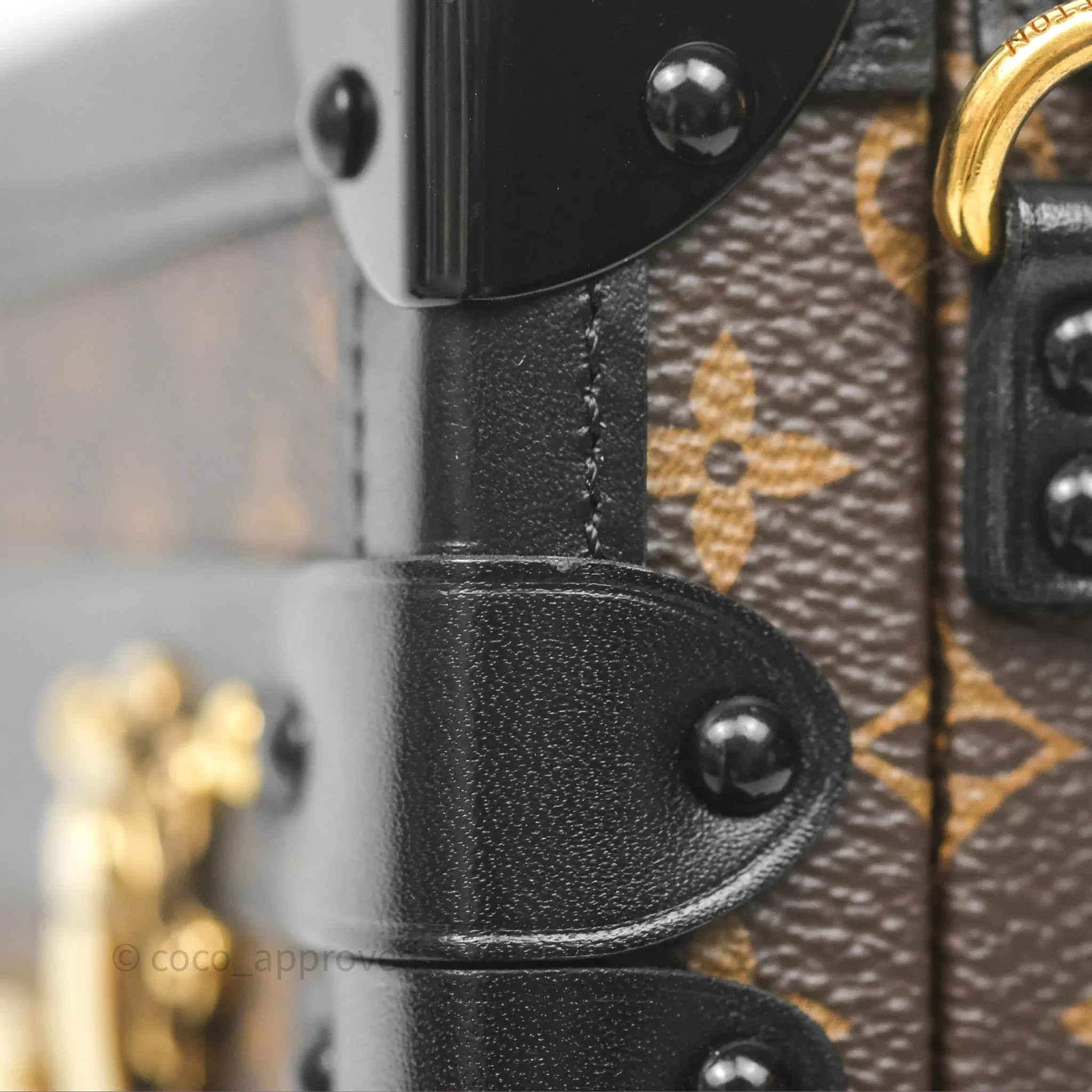 Louis Vuitton Monogram Petite Malle
