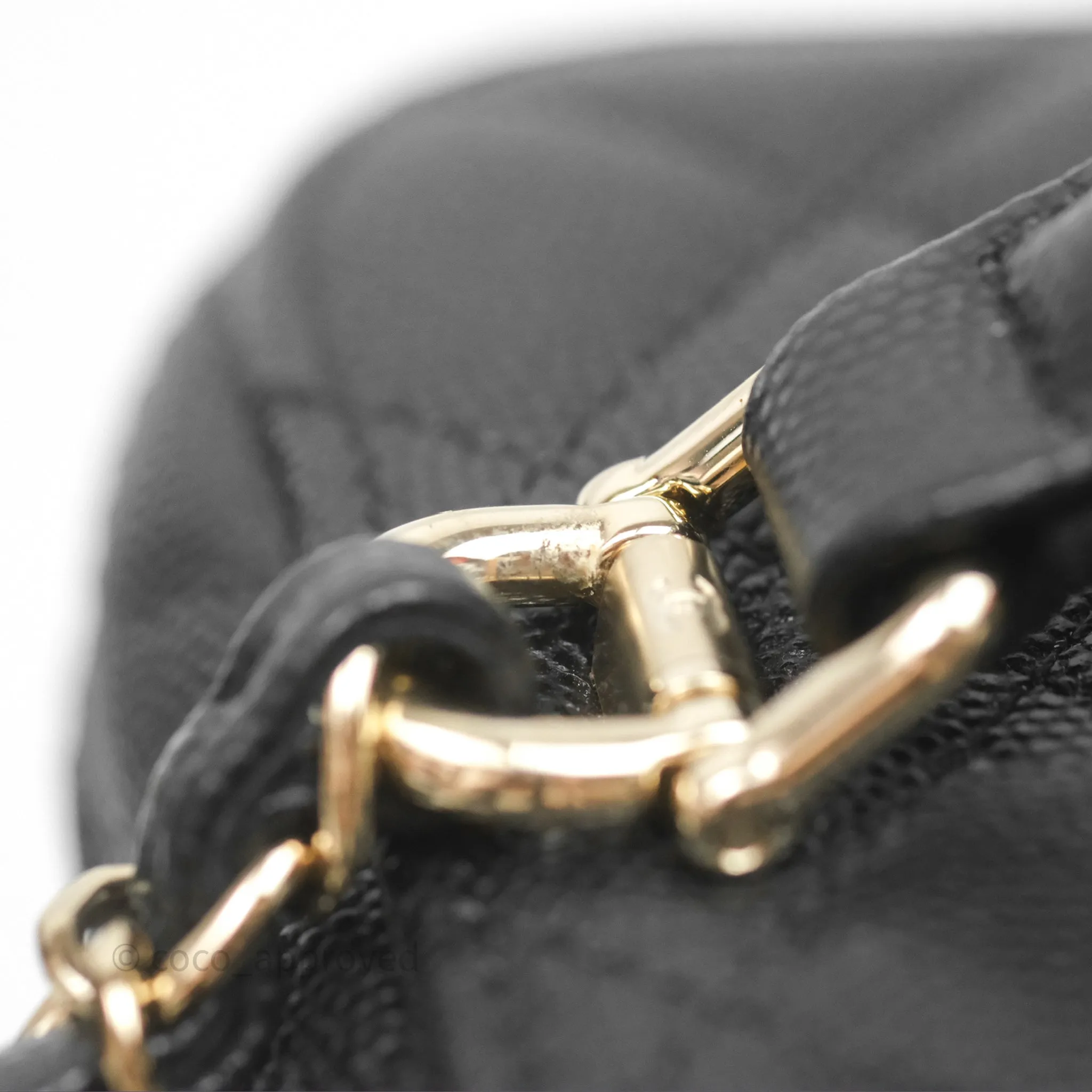 Louis Vuitton Monogram Petite Malle
