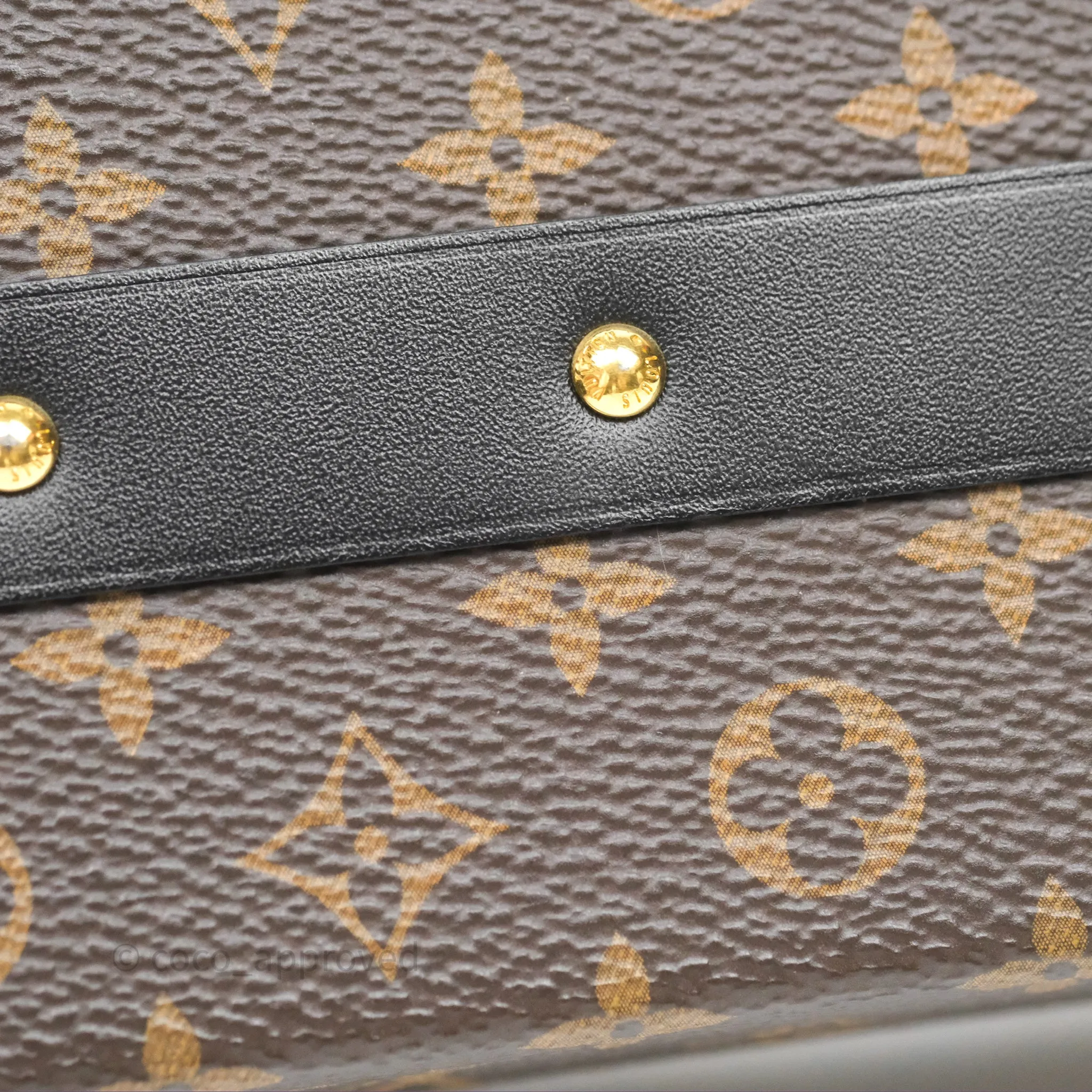 Louis Vuitton Monogram Petite Malle