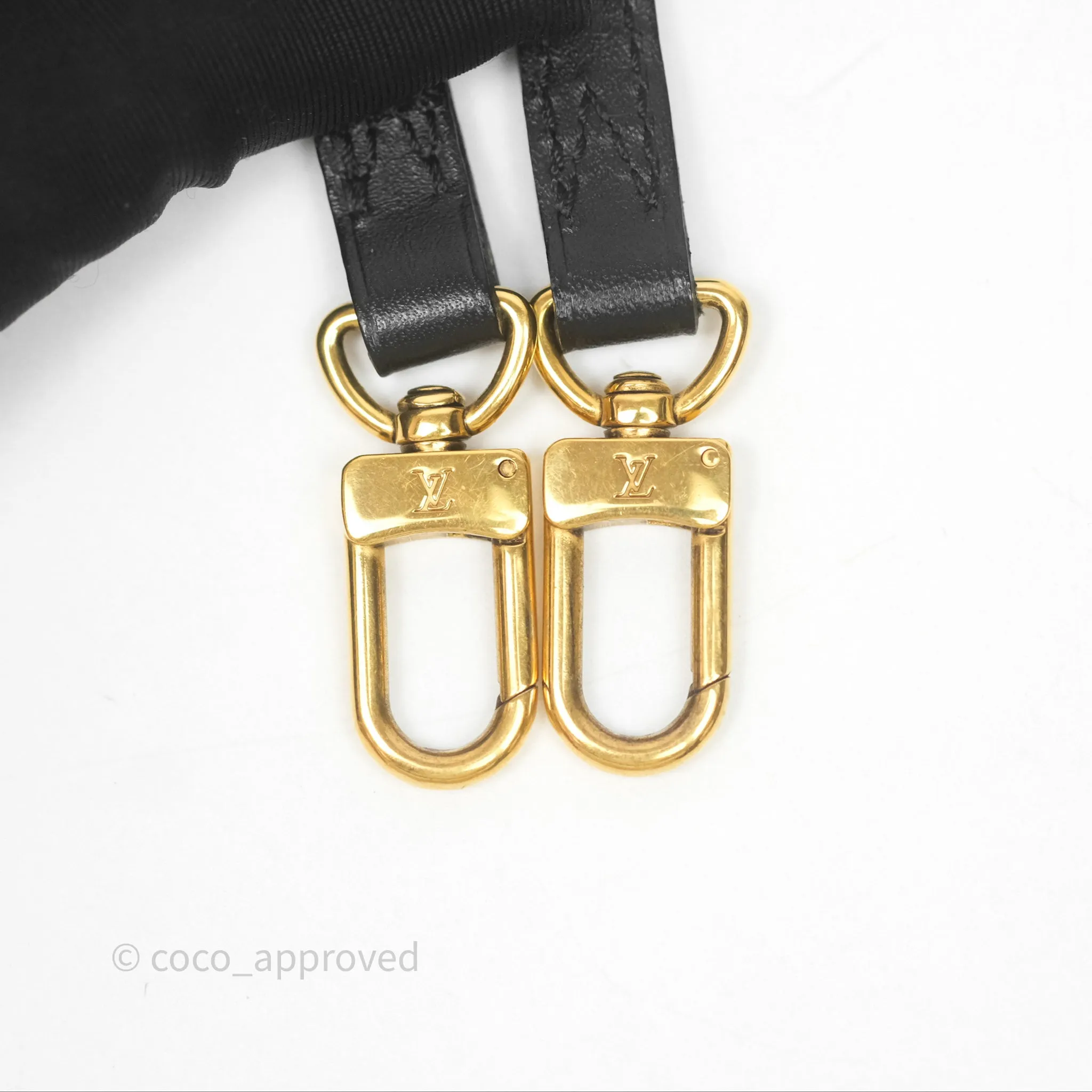 Louis Vuitton Monogram Petite Malle