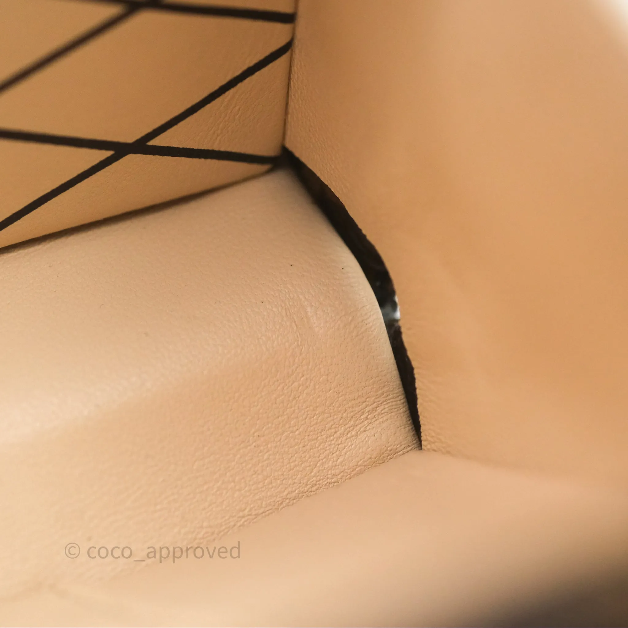 Louis Vuitton Monogram Petite Malle