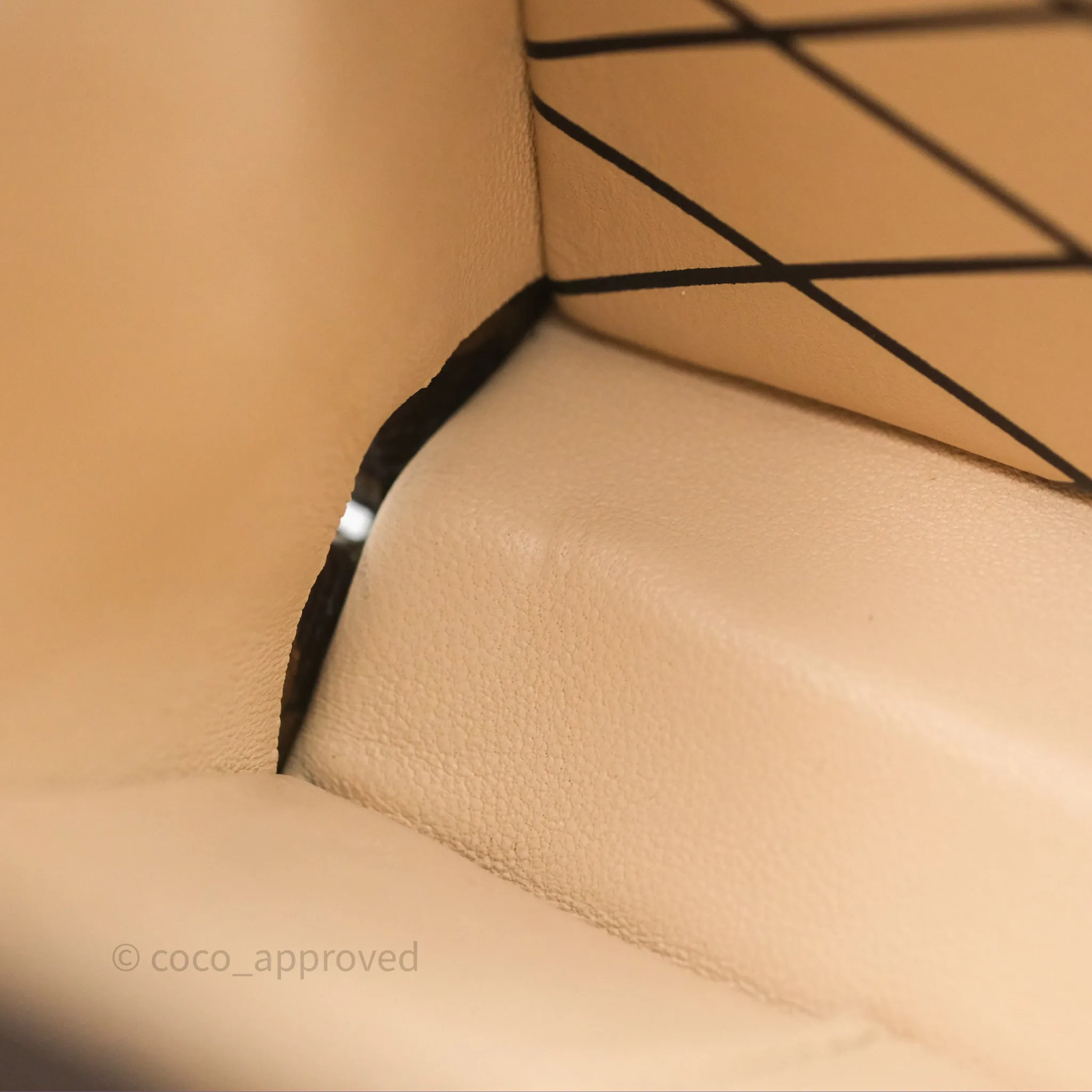 Louis Vuitton Monogram Petite Malle