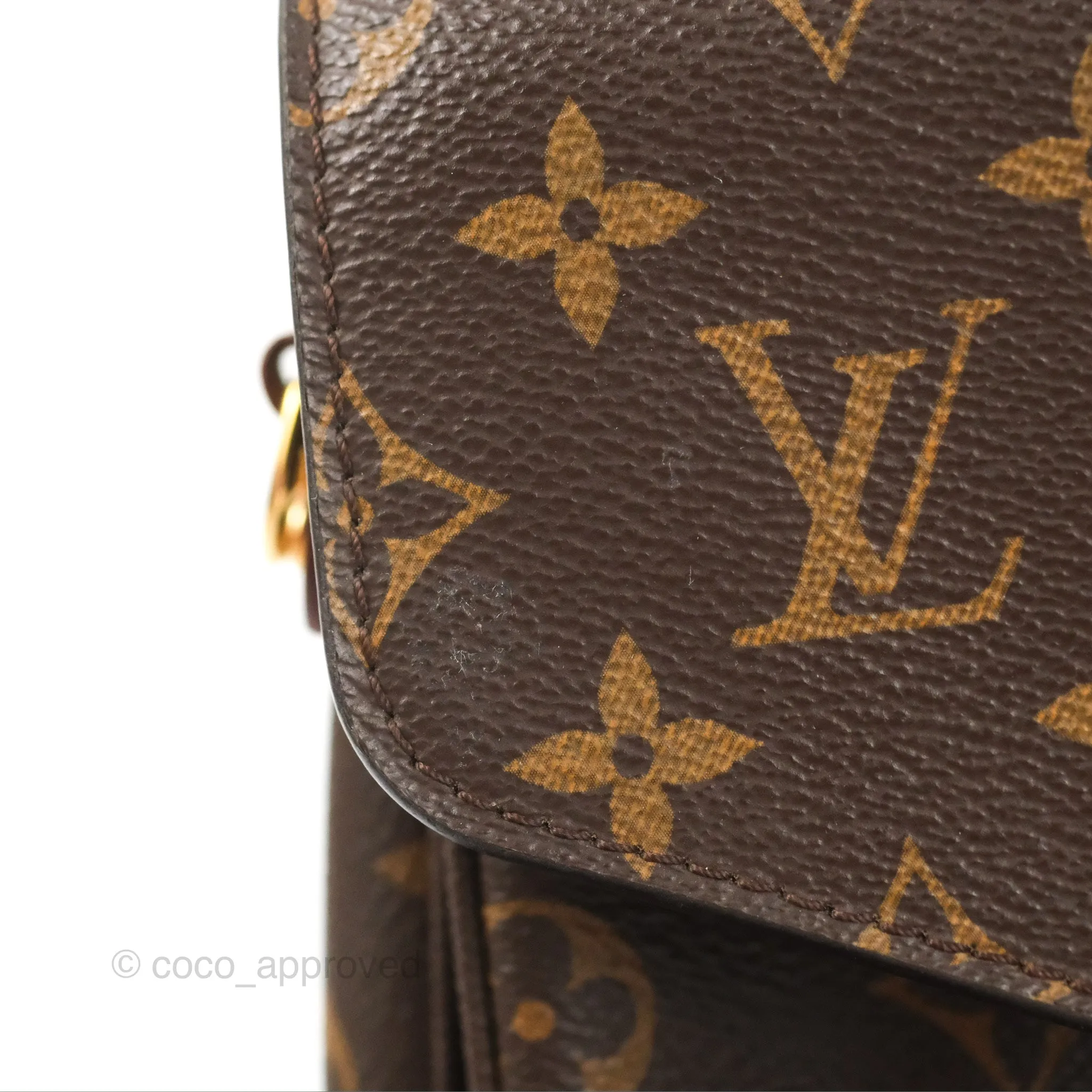 Louis Vuitton Monogram Pochette Metis