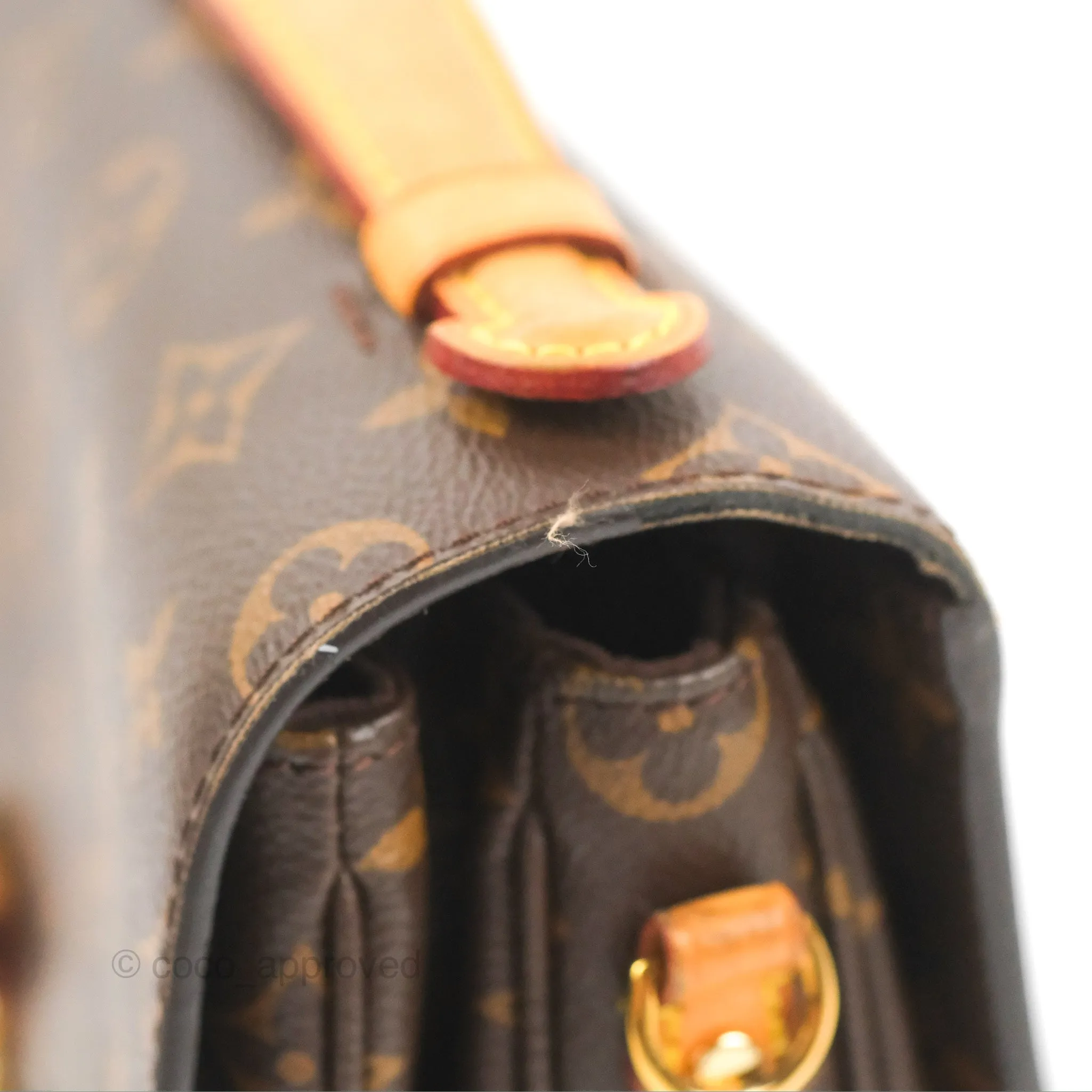 Louis Vuitton Monogram Pochette Metis