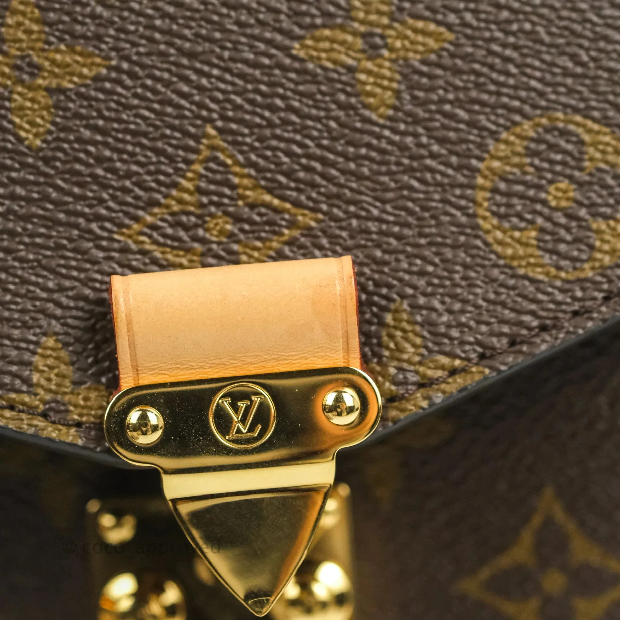Louis Vuitton Monogram Pochette Metis