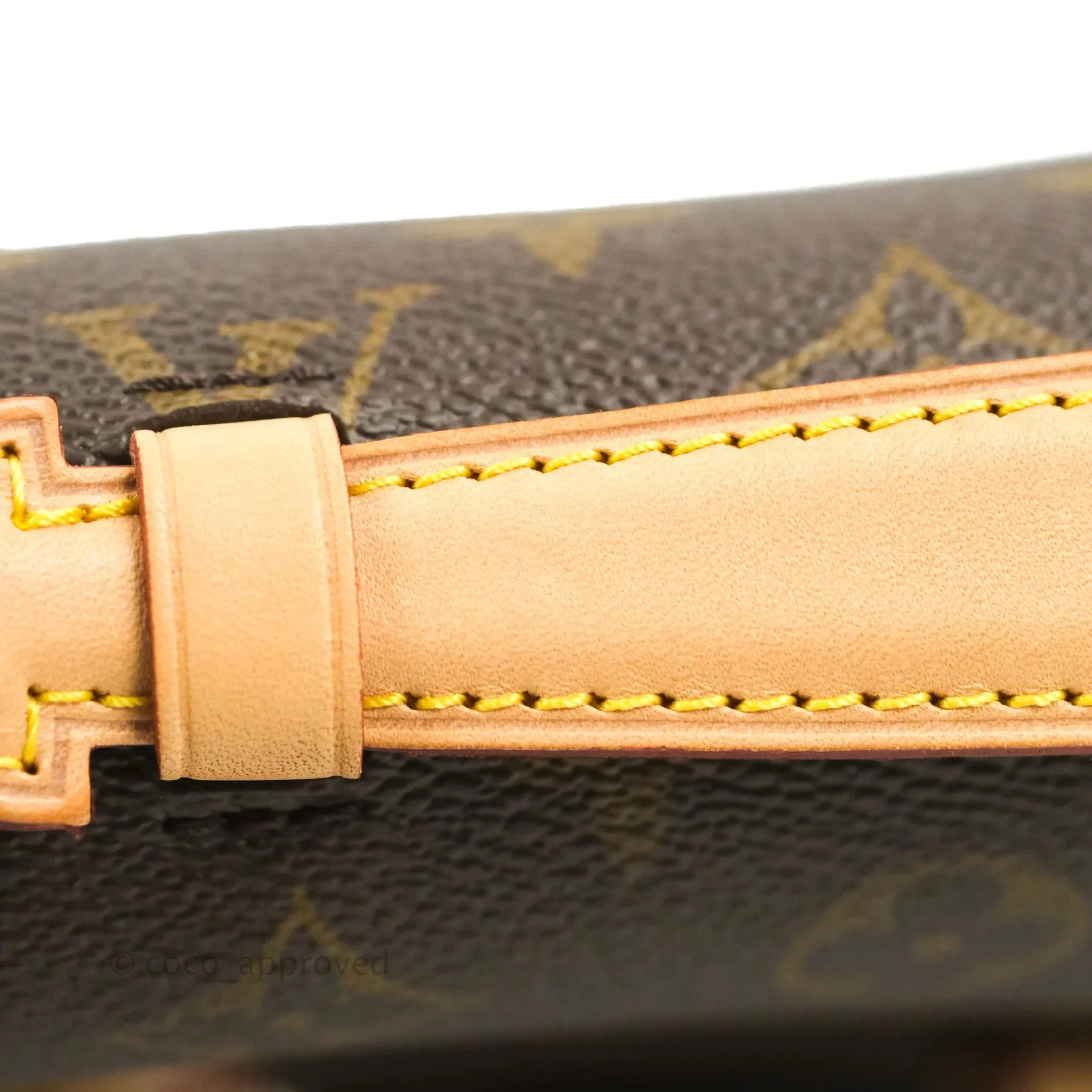 Louis Vuitton Monogram Pochette Metis