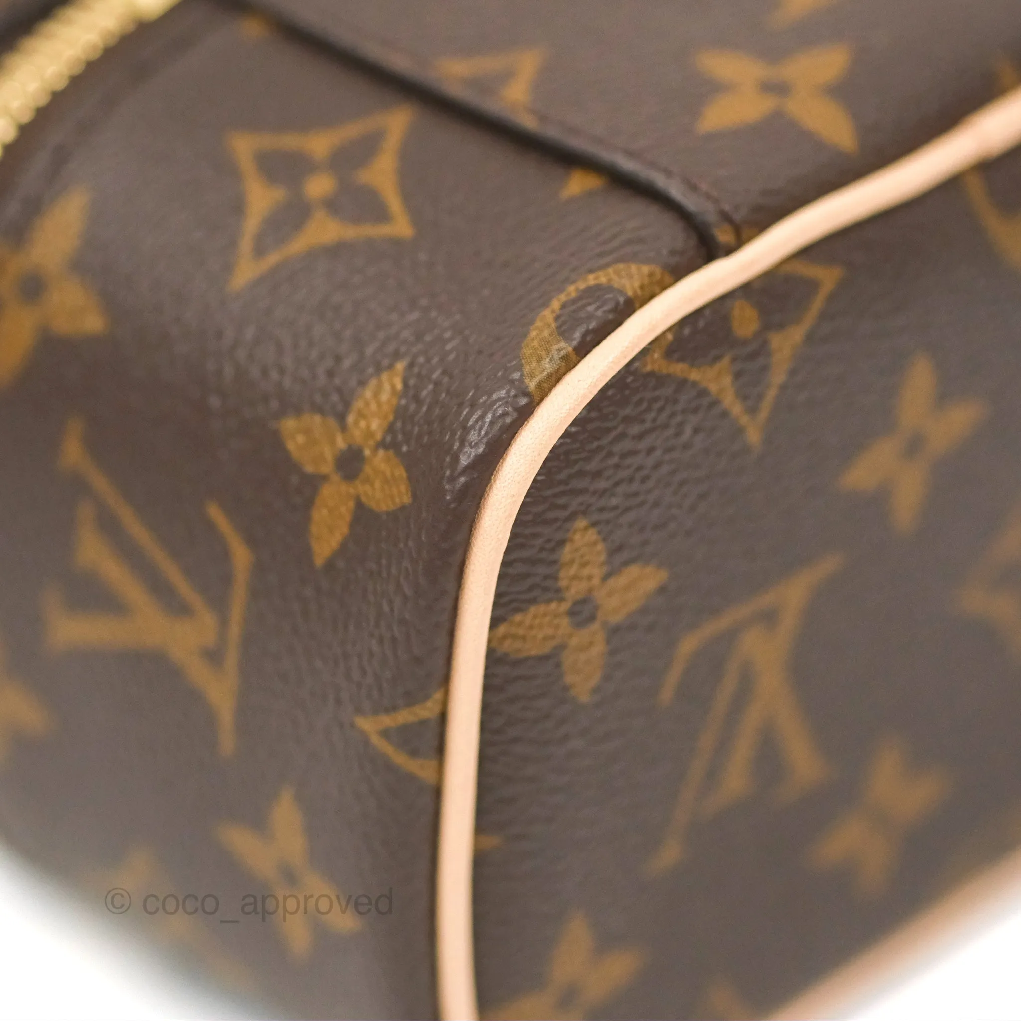 Louis Vuitton Nano Nice Monogram