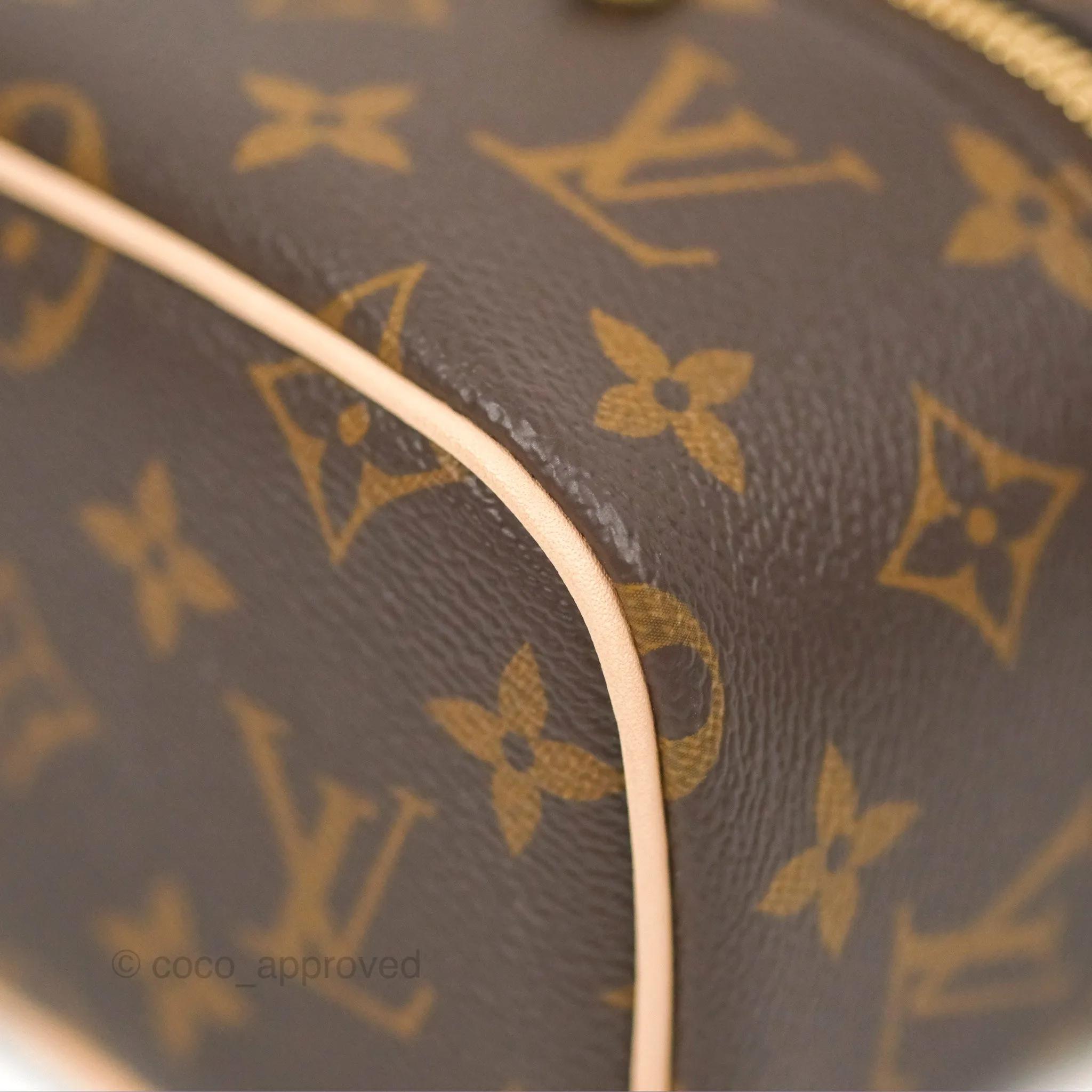 Louis Vuitton Nano Nice Monogram