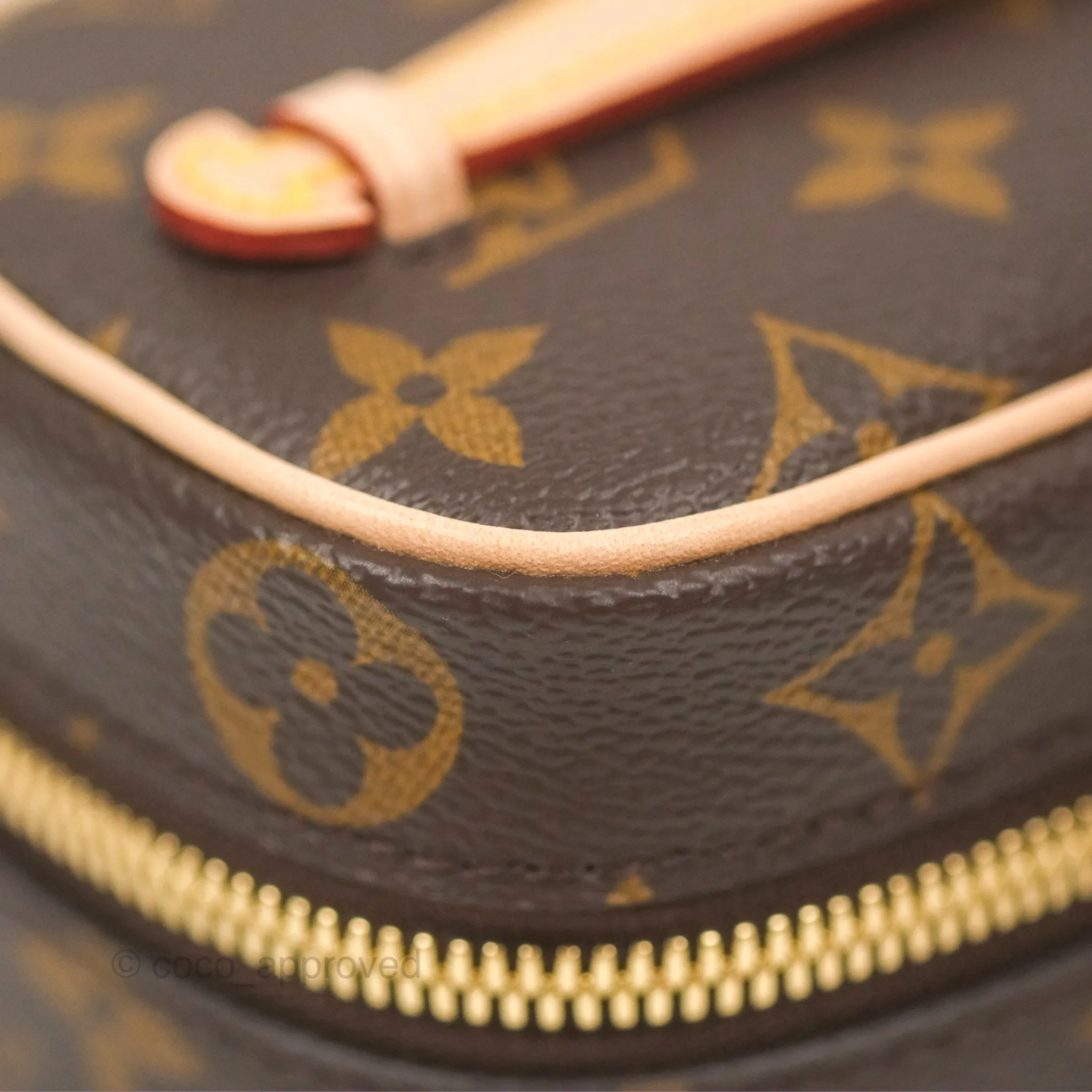 Louis Vuitton Nano Nice Monogram