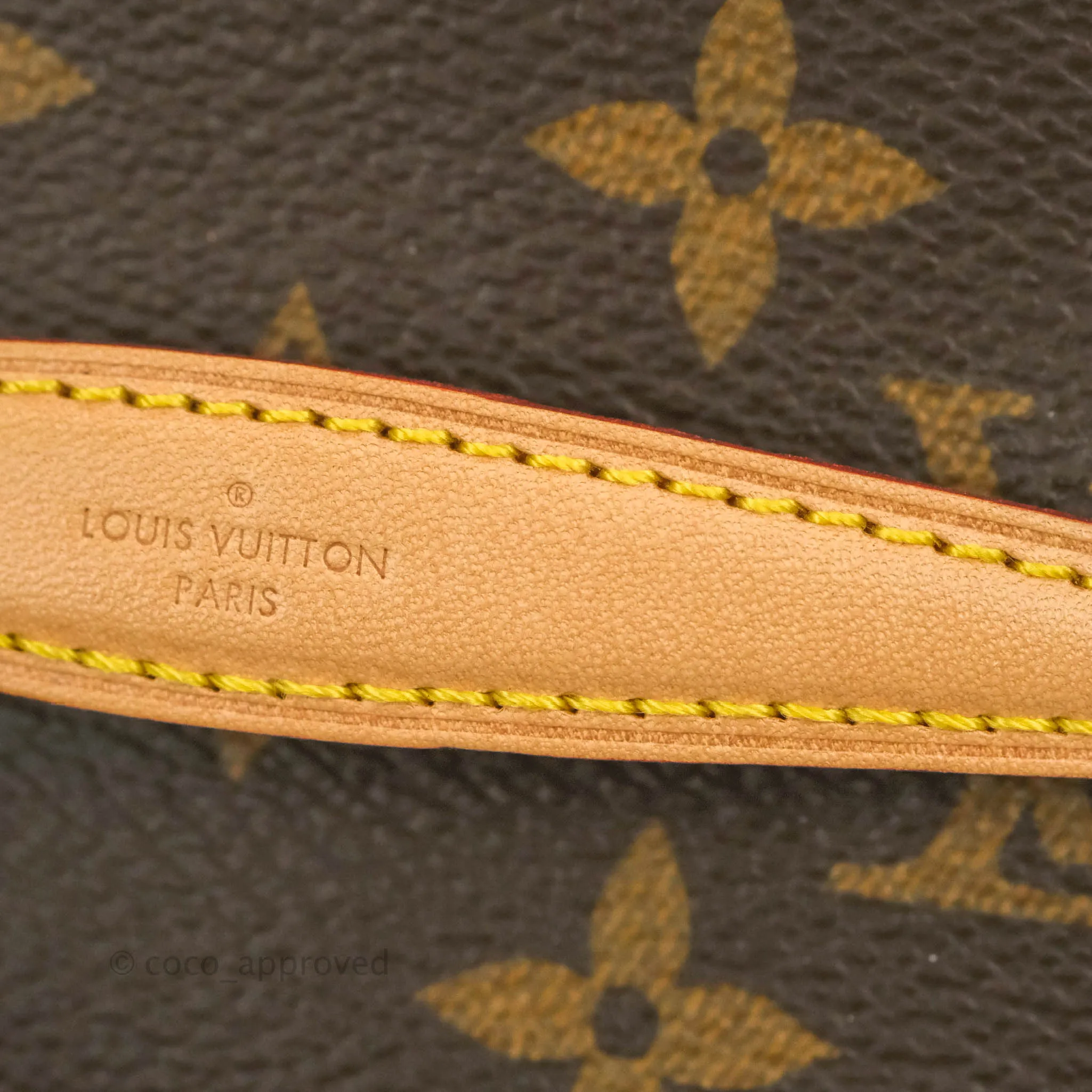 Louis Vuitton Nano Nice Monogram