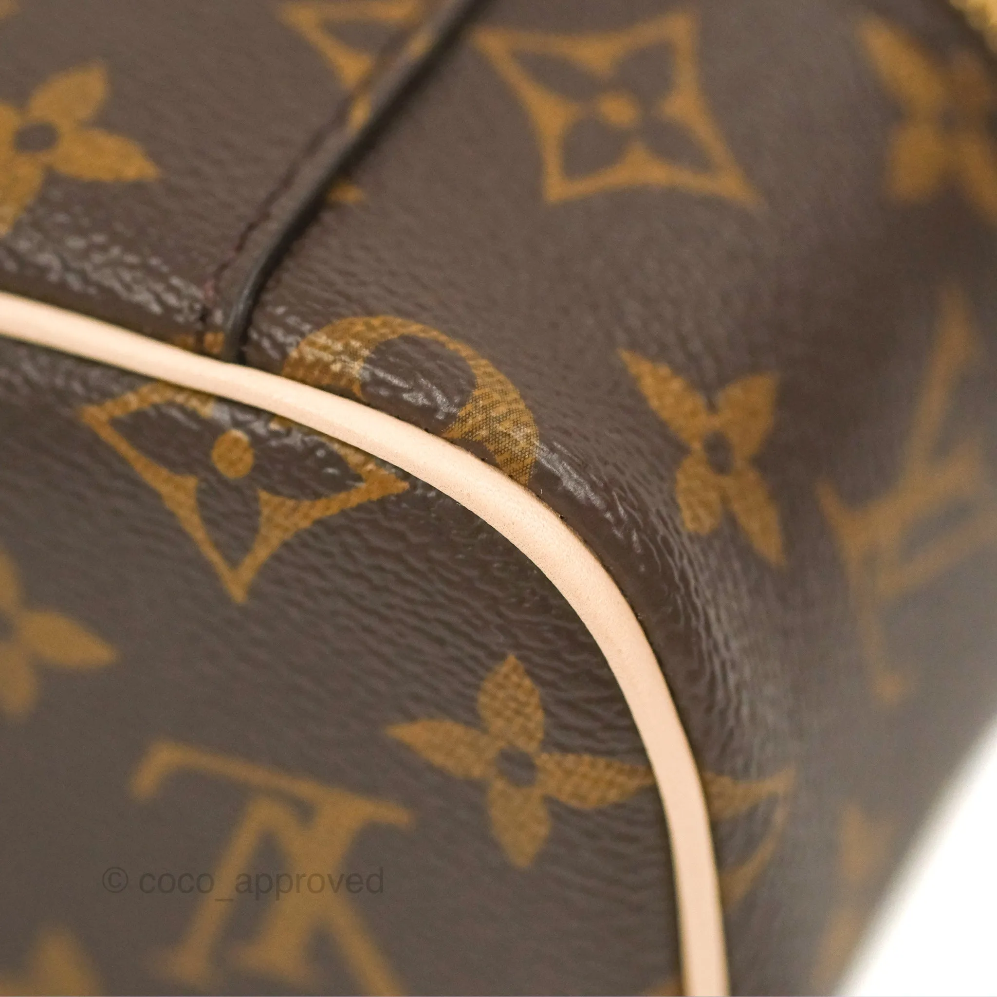 Louis Vuitton Nano Nice Monogram