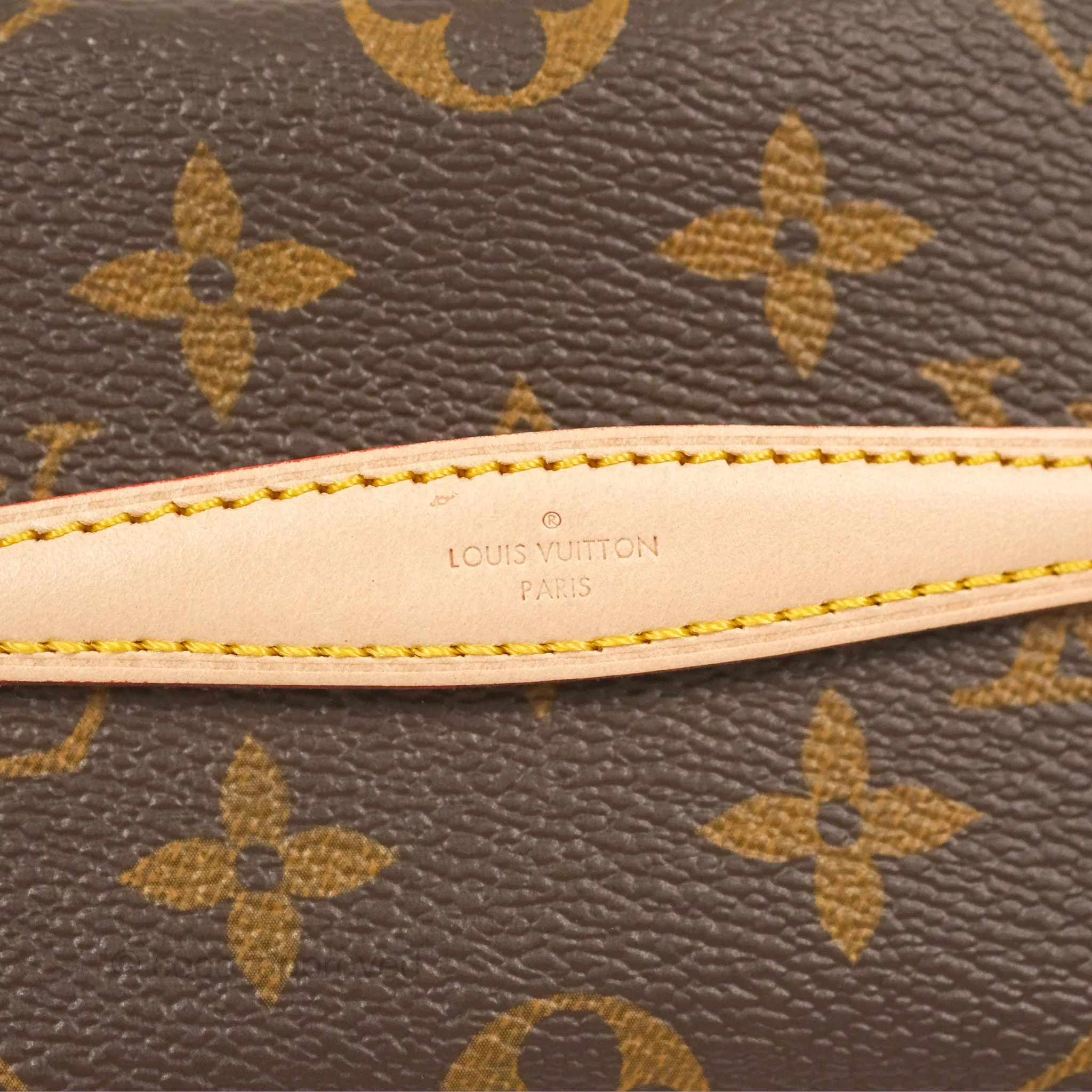 Louis Vuitton Nano Nice Monogram