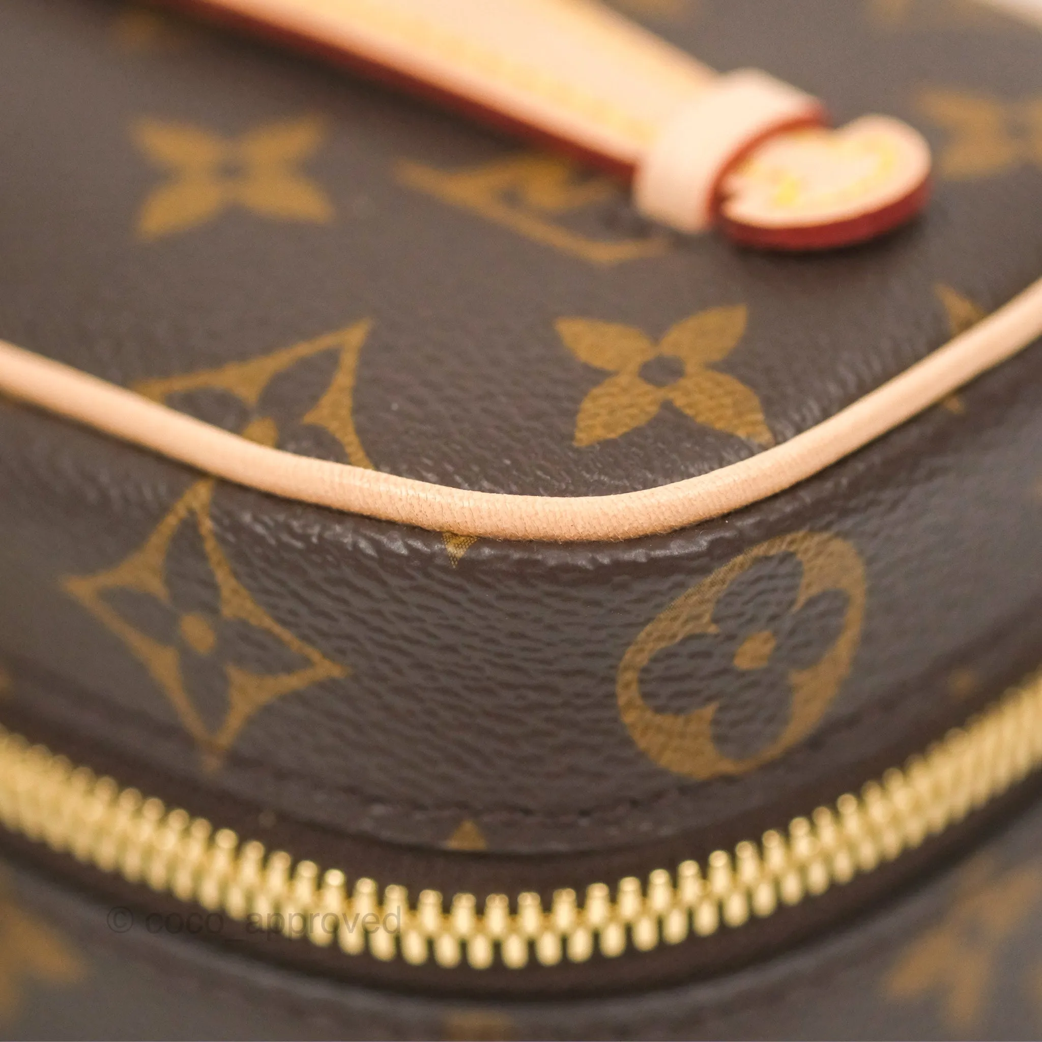Louis Vuitton Nano Nice Monogram