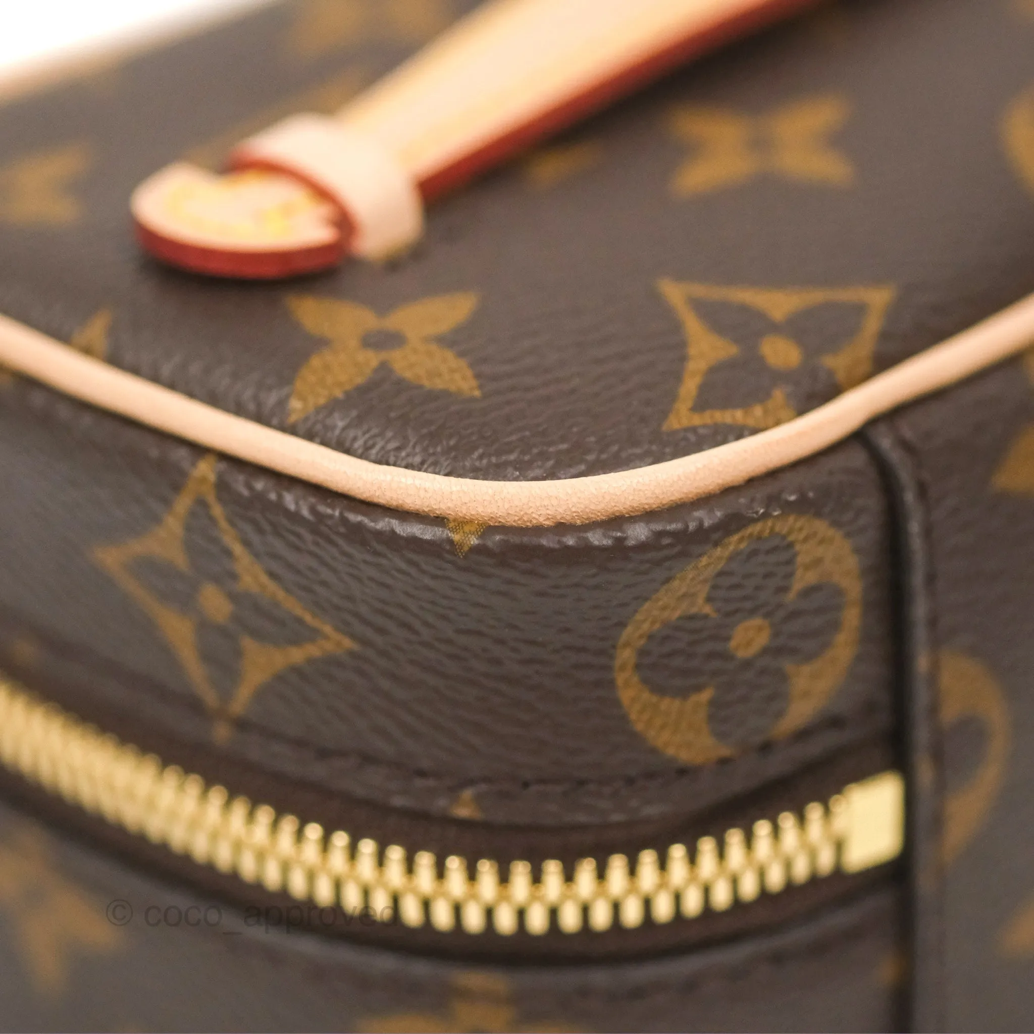 Louis Vuitton Nano Nice Monogram
