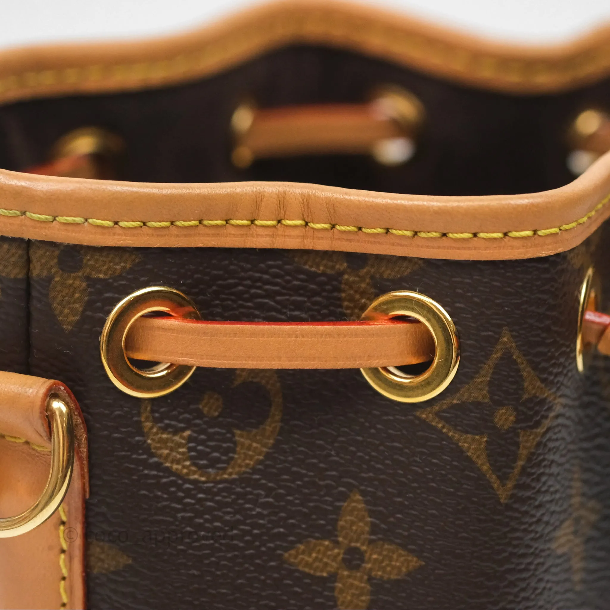 Louis Vuitton Nano Noe Monogram