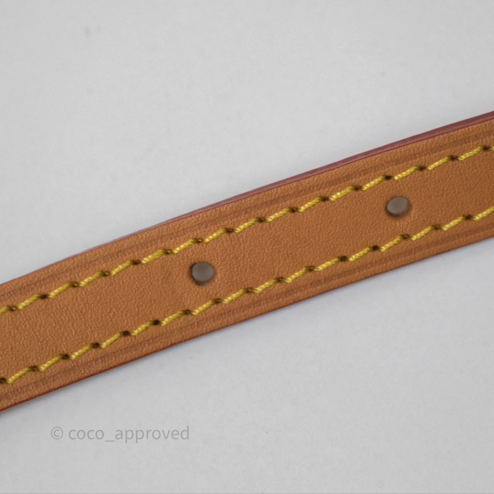Louis Vuitton Nano Noe Monogram