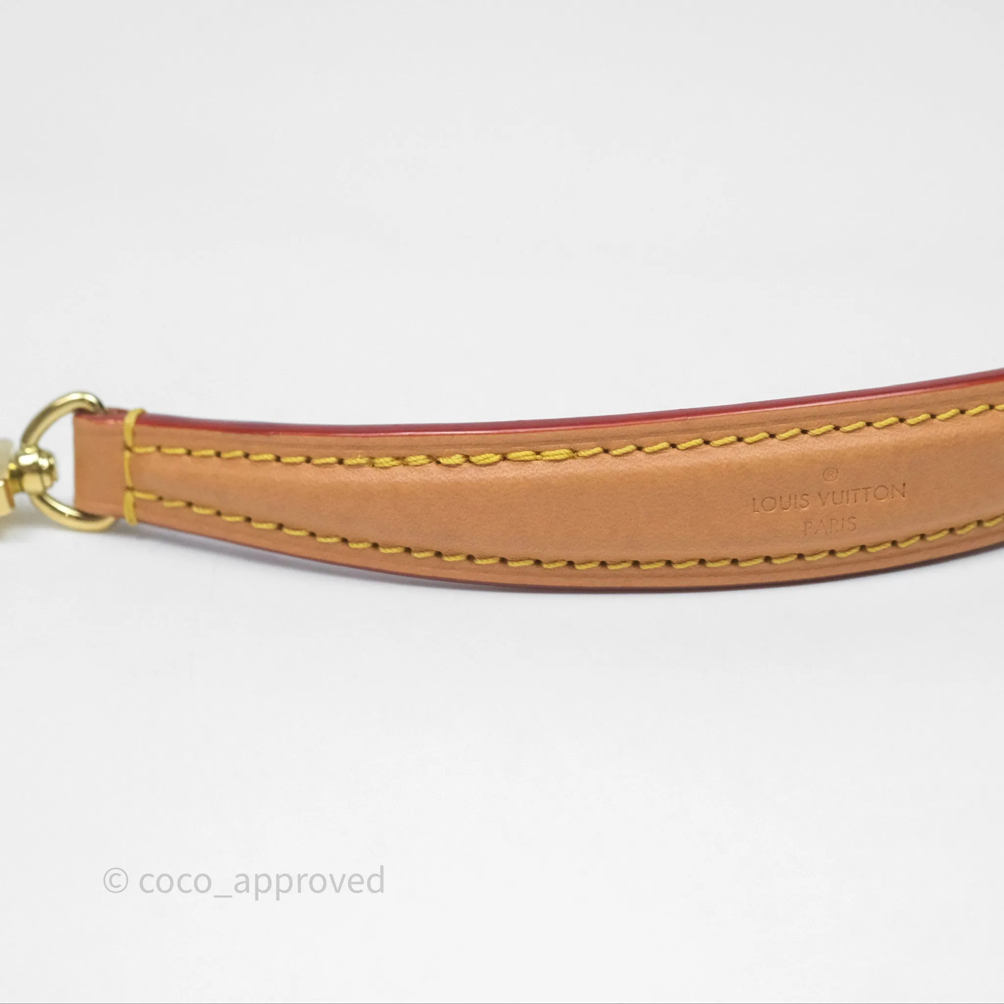 Louis Vuitton Nano Noe Monogram