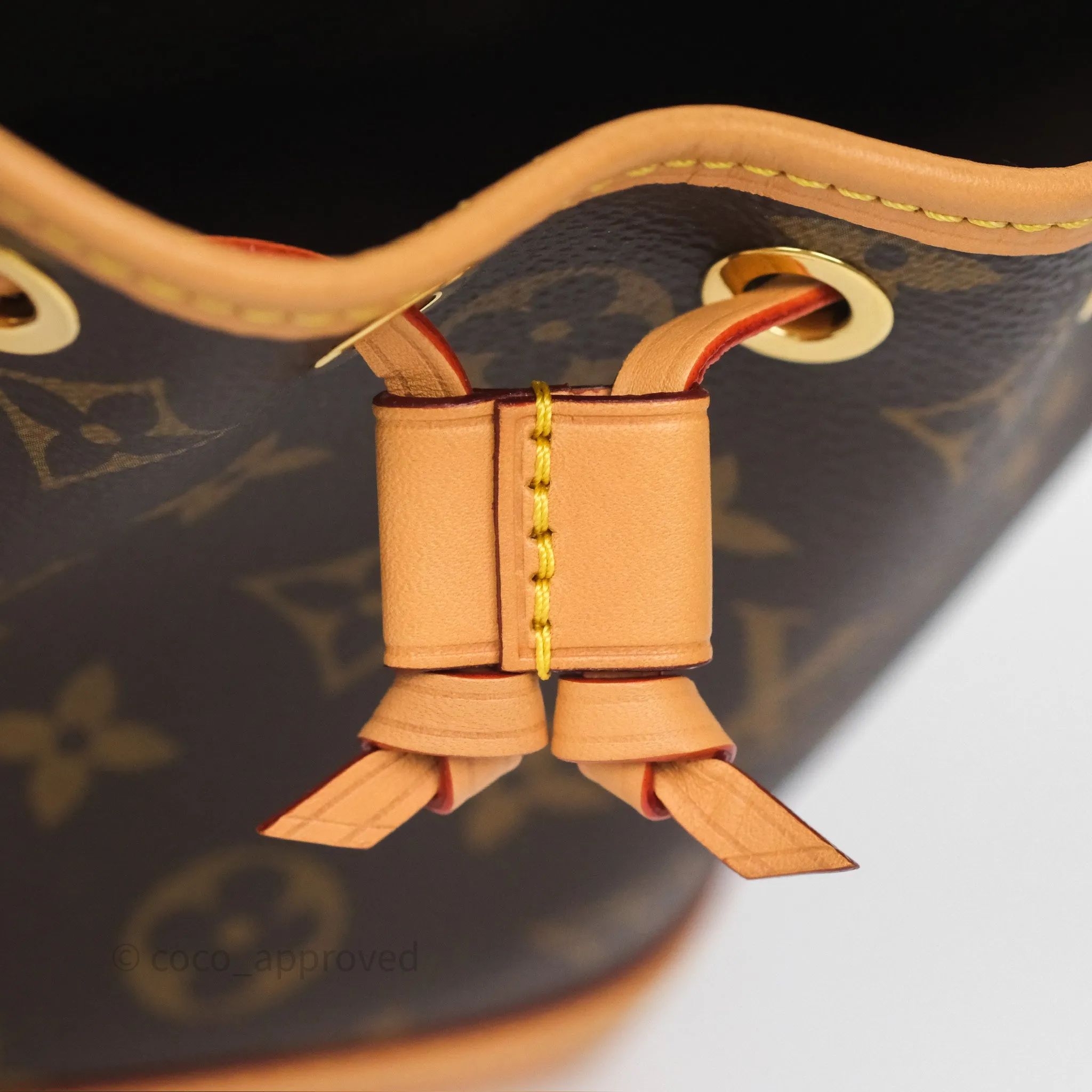 Louis Vuitton Nano Noe Monogram