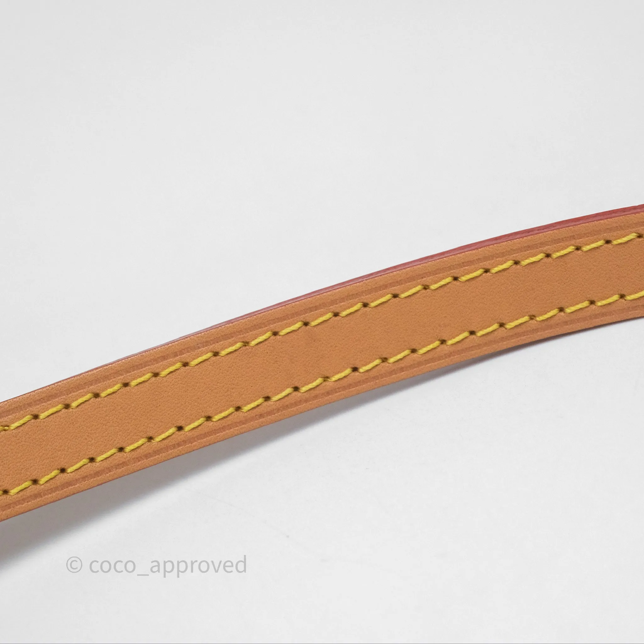 Louis Vuitton Nano Noe Monogram