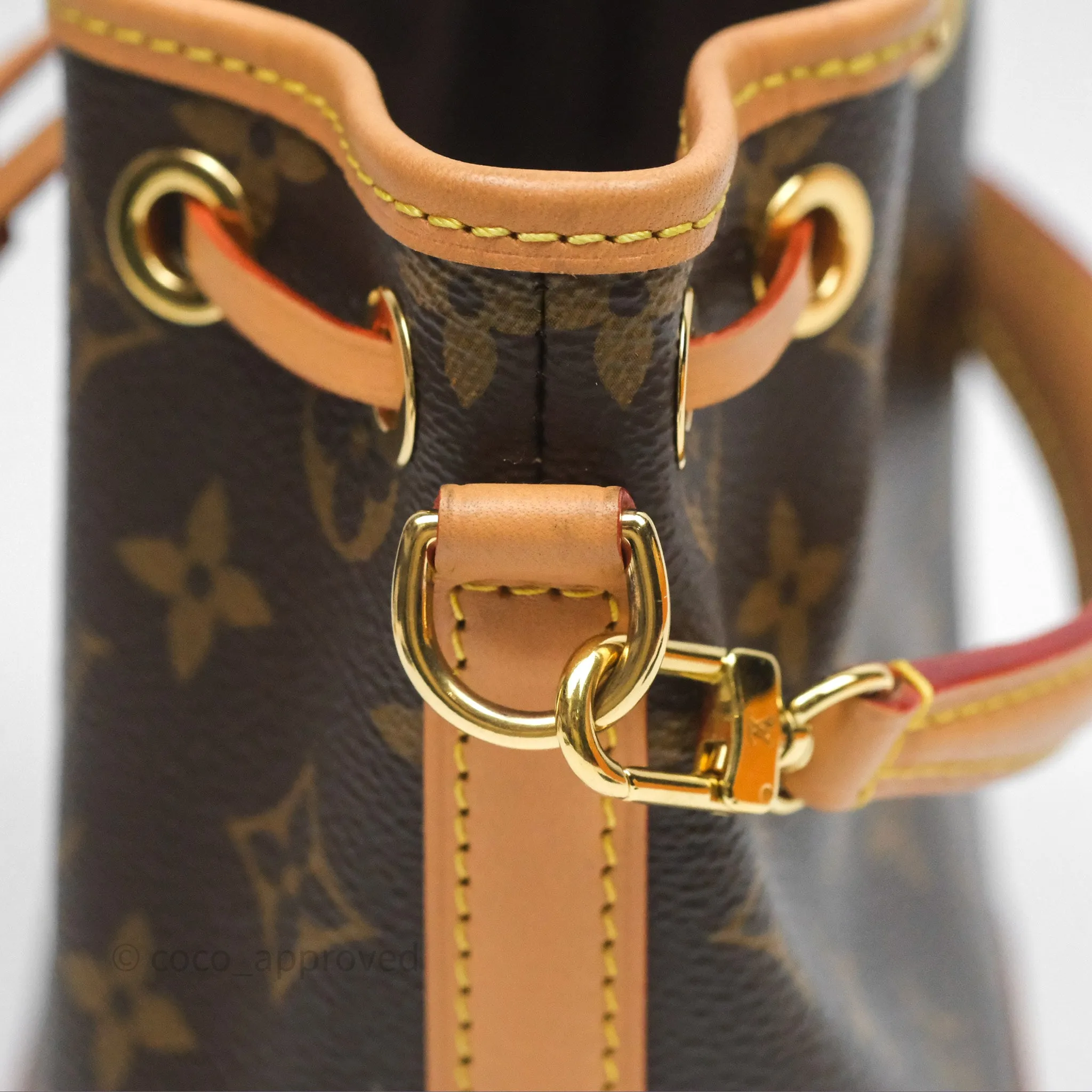 Louis Vuitton Nano Noe Monogram
