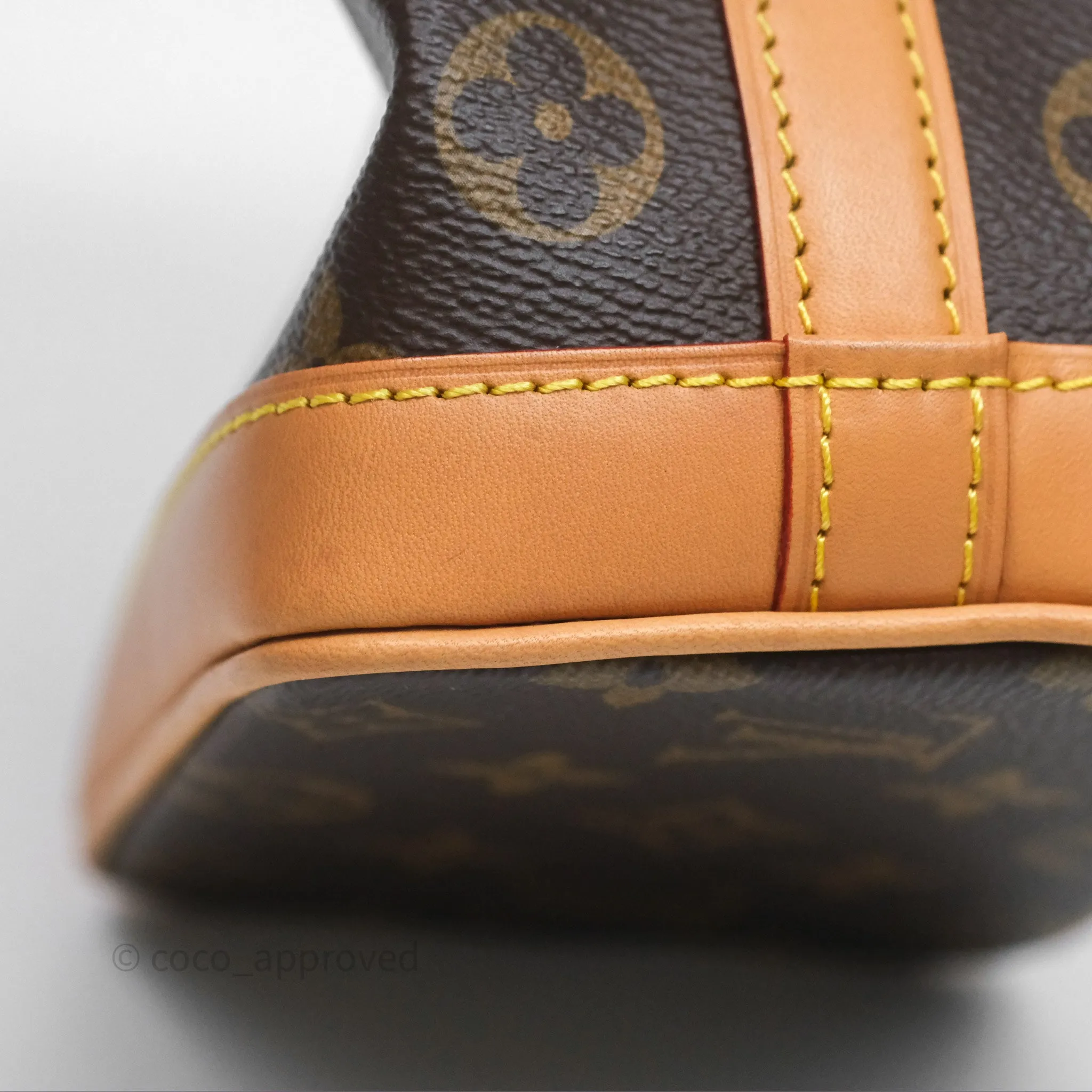 Louis Vuitton Nano Noe Monogram