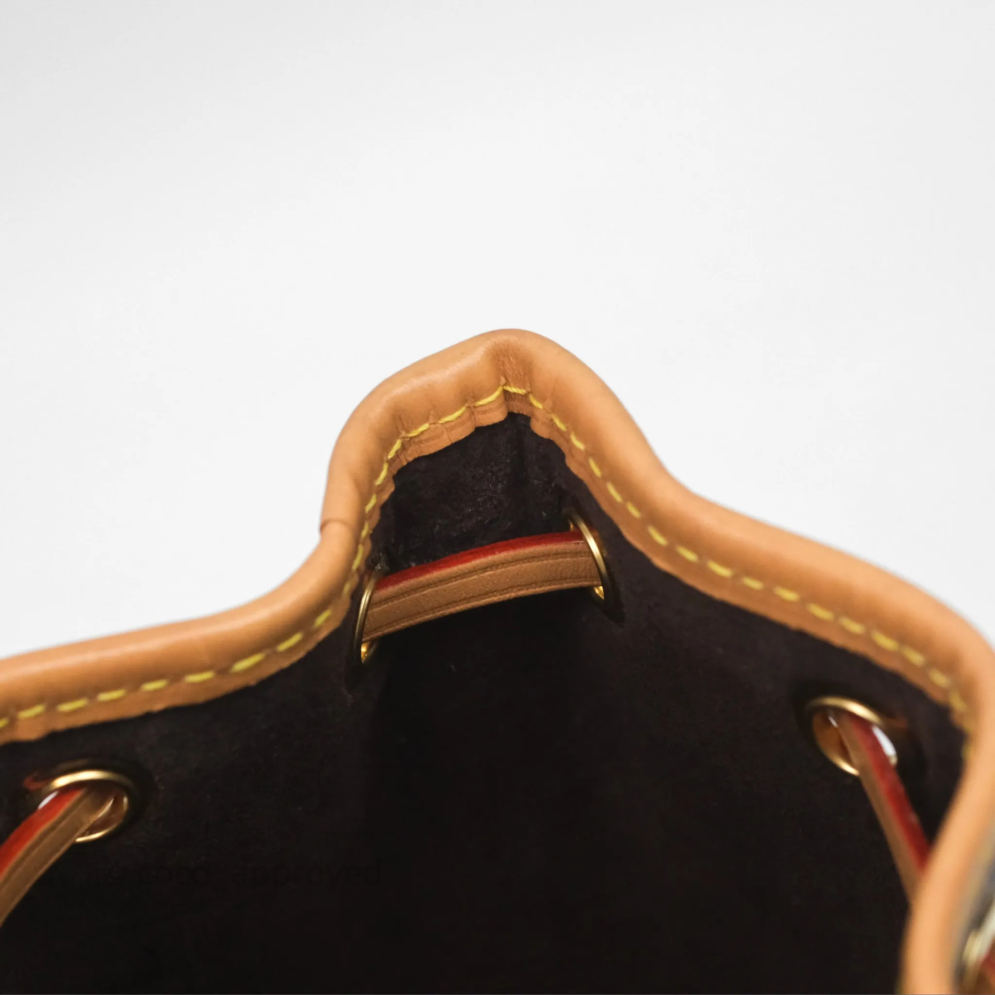 Louis Vuitton Nano Noe Monogram