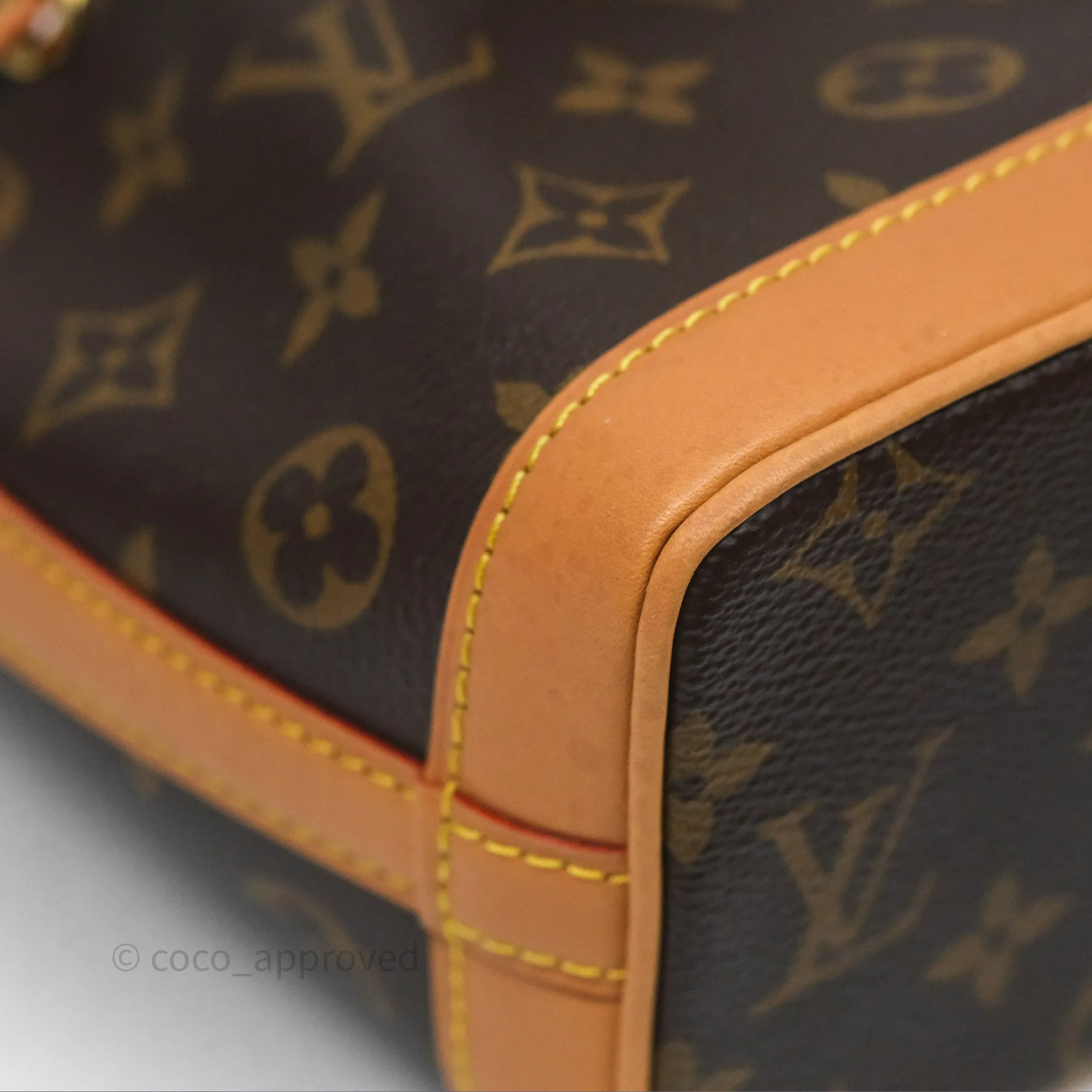 Louis Vuitton Nano Noe Monogram