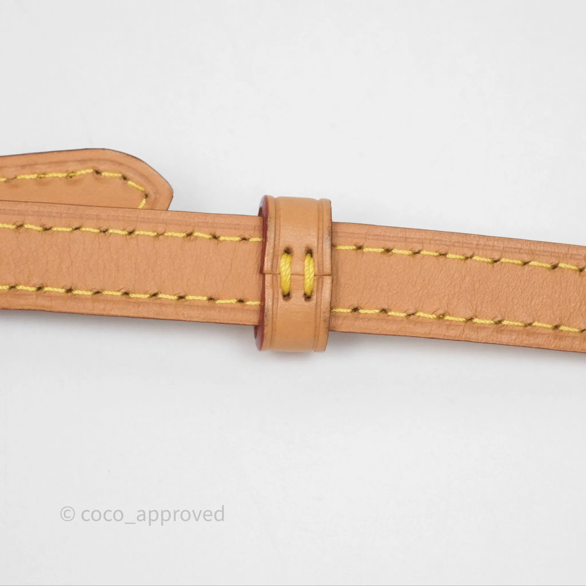 Louis Vuitton Nano Noe Monogram