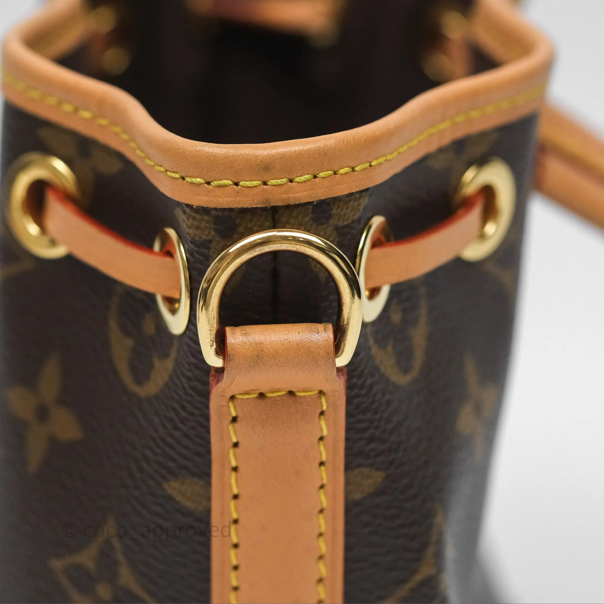Louis Vuitton Nano Noe Monogram