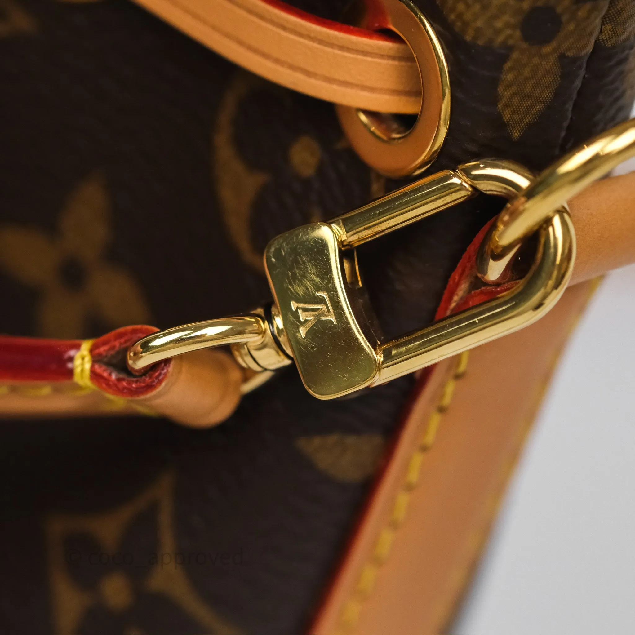 Louis Vuitton Nano Noe Monogram