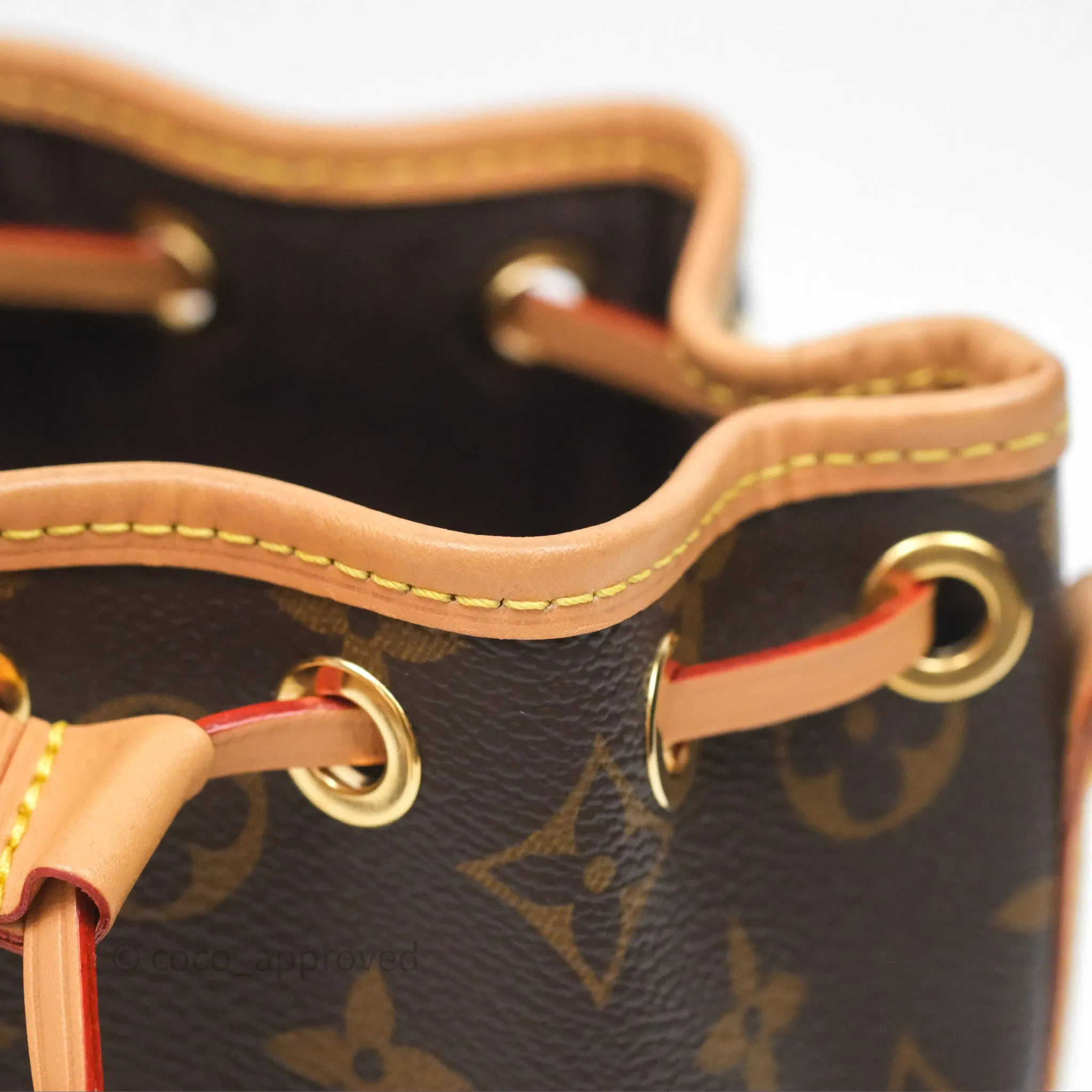 Louis Vuitton Nano Noe Monogram