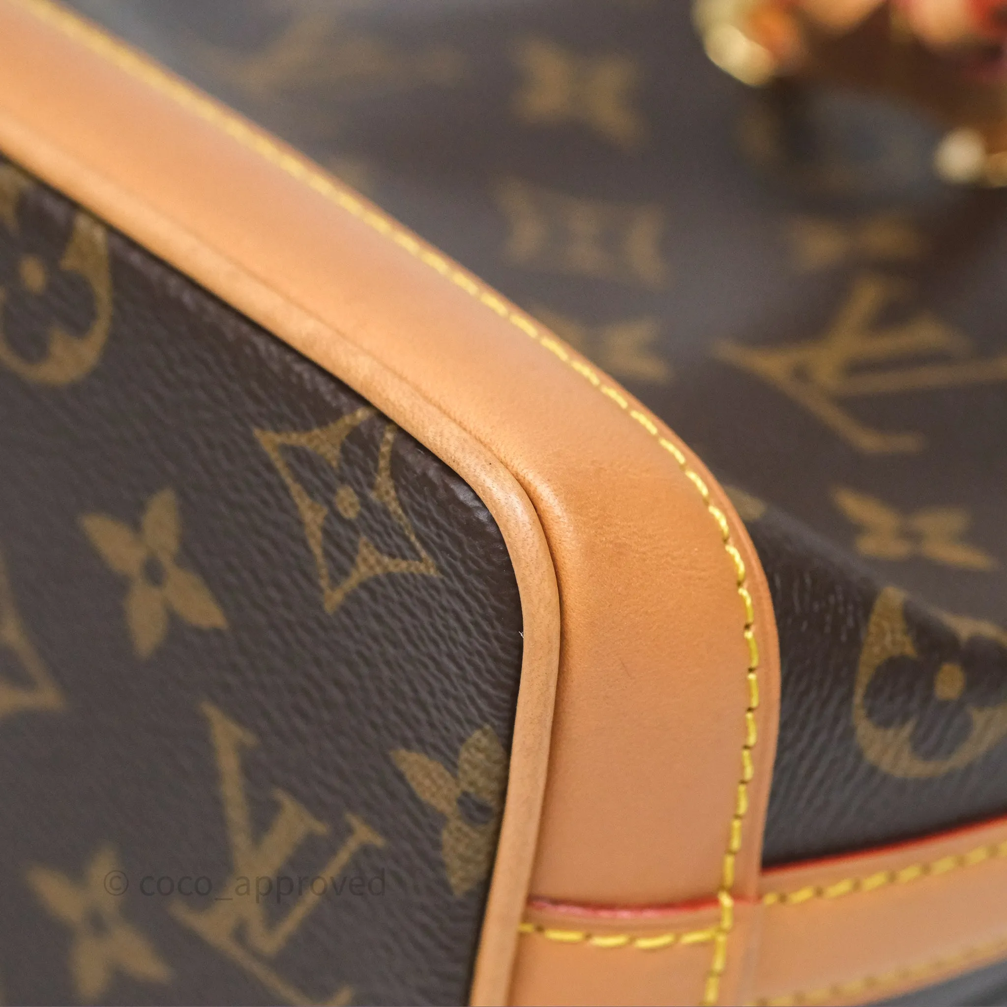 Louis Vuitton Nano Noe Monogram