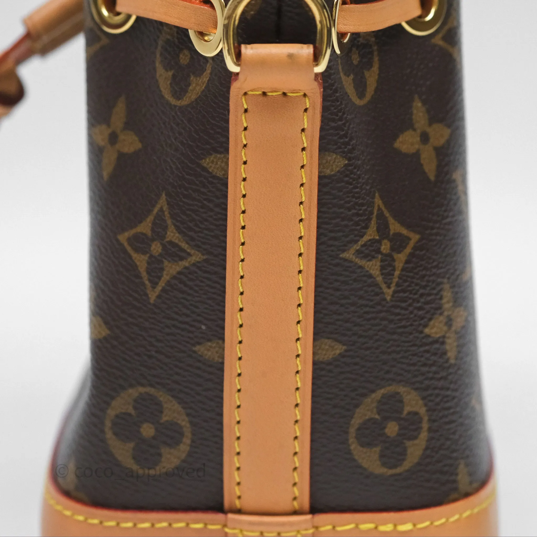 Louis Vuitton Nano Noe Monogram
