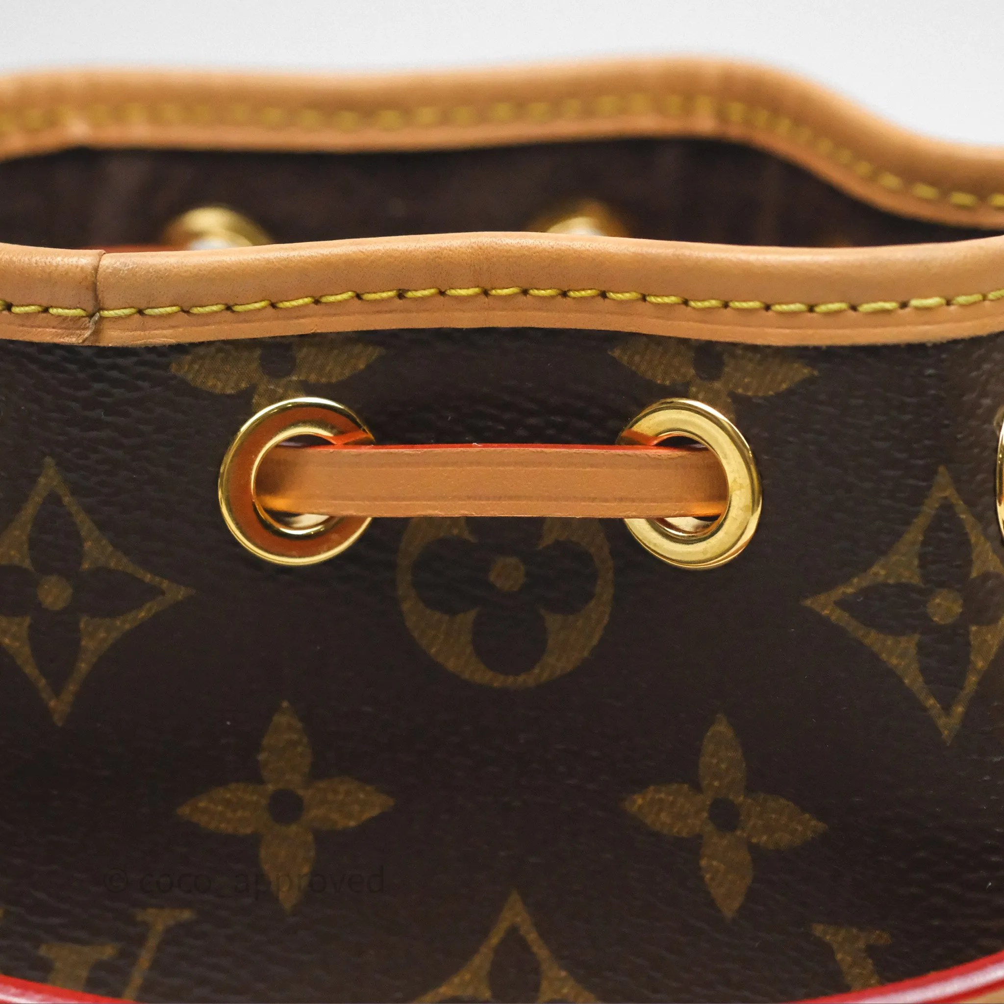 Louis Vuitton Nano Noe Monogram